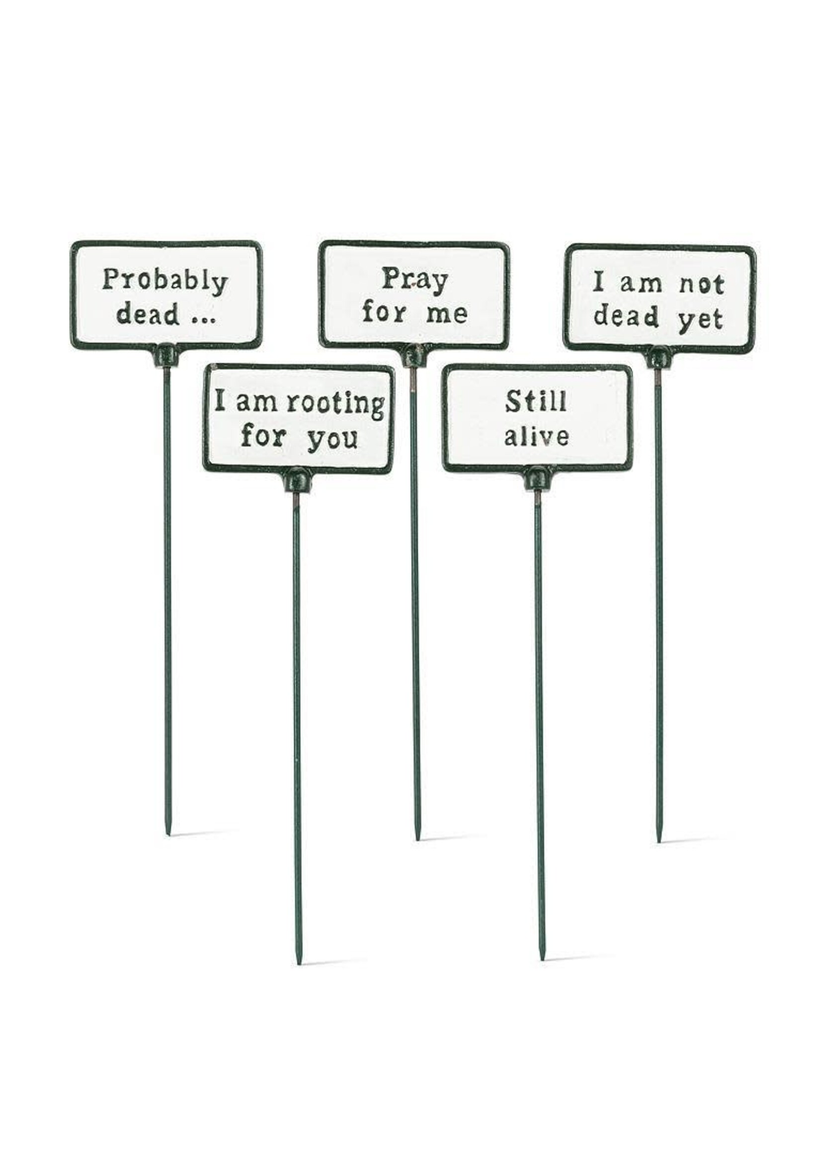 Plant Signs (Assorted)