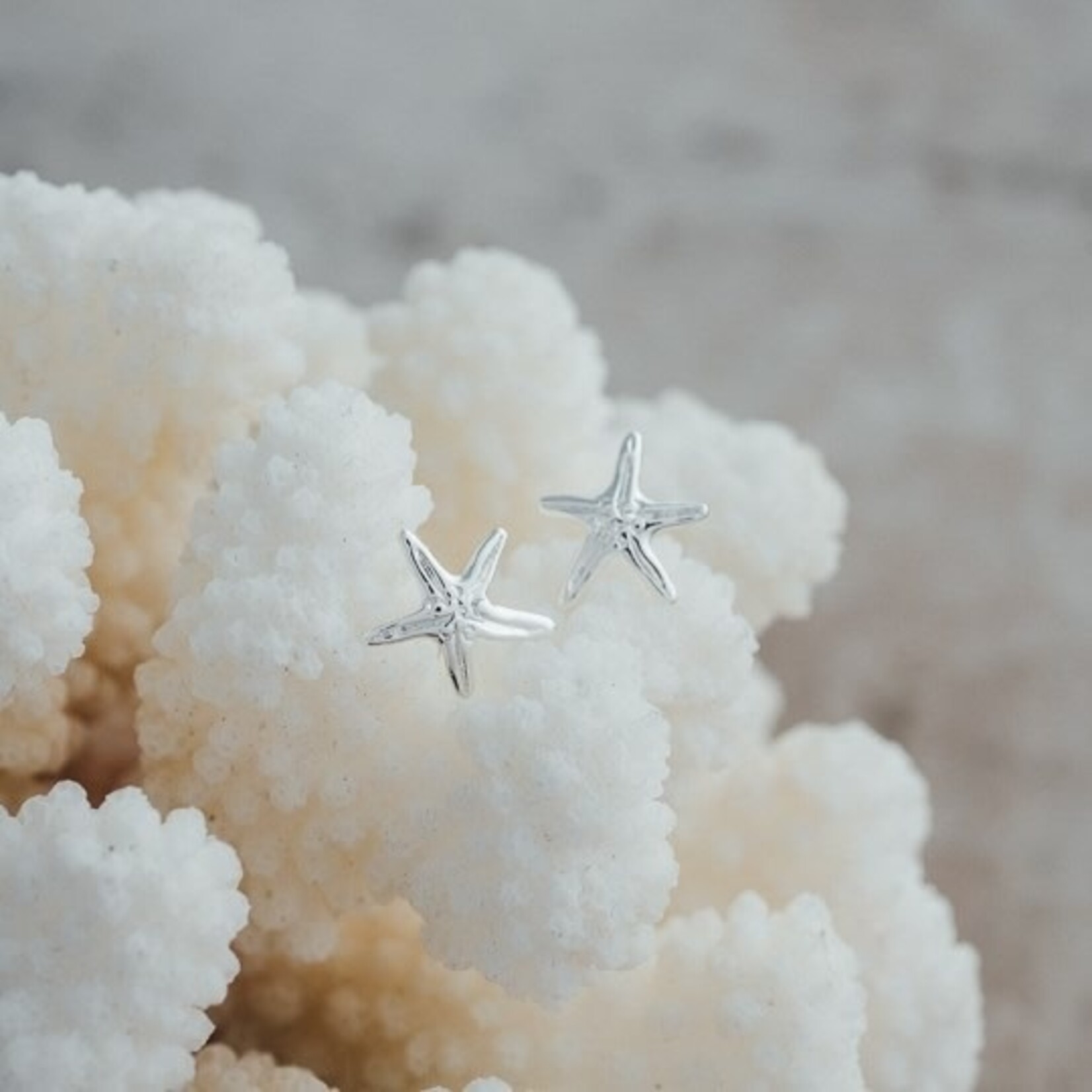Glee Whimsical Seastar Stud Earrings - Silver Plated