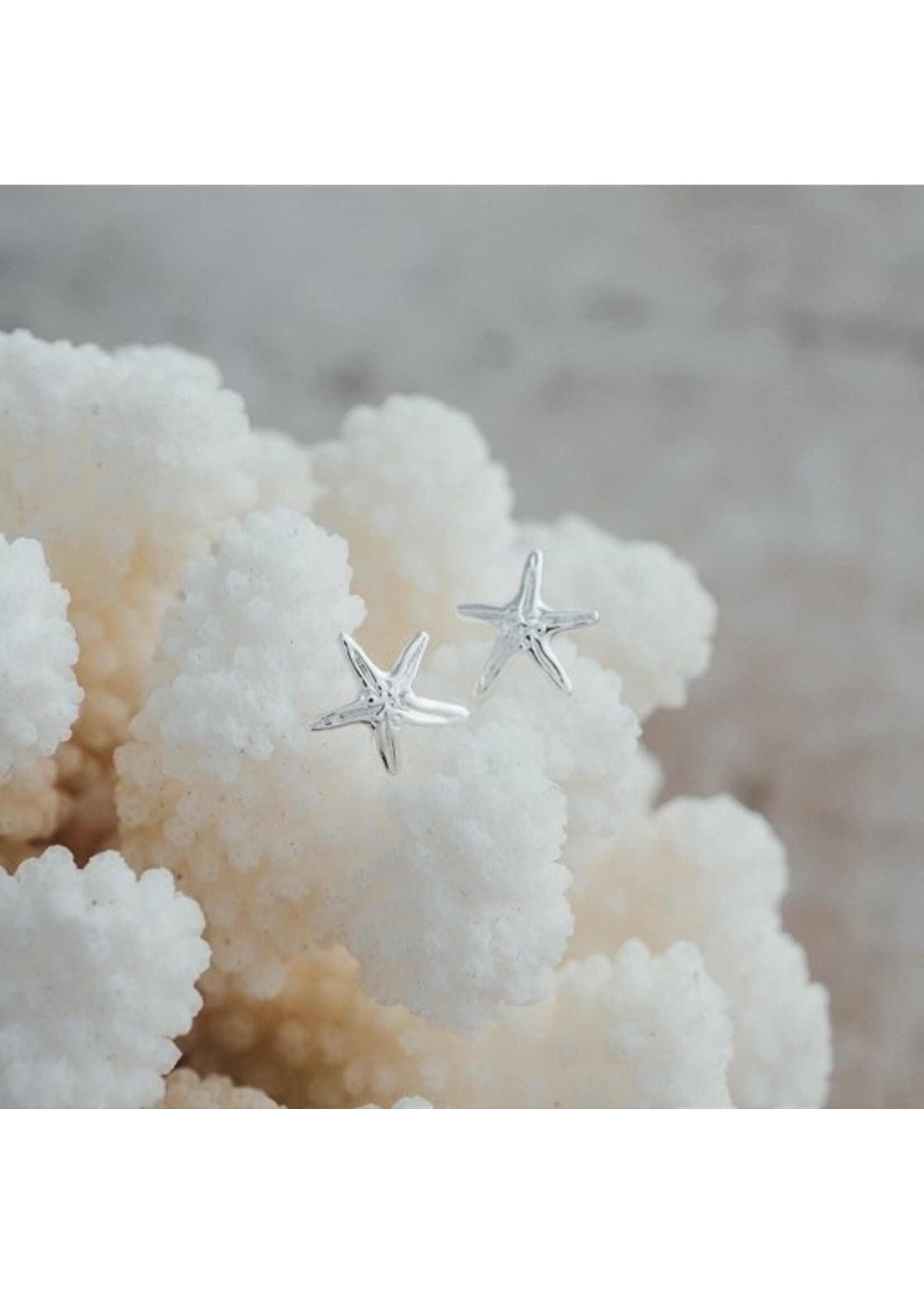 Glee Whimsical Seastar Stud Earrings - Silver Plated