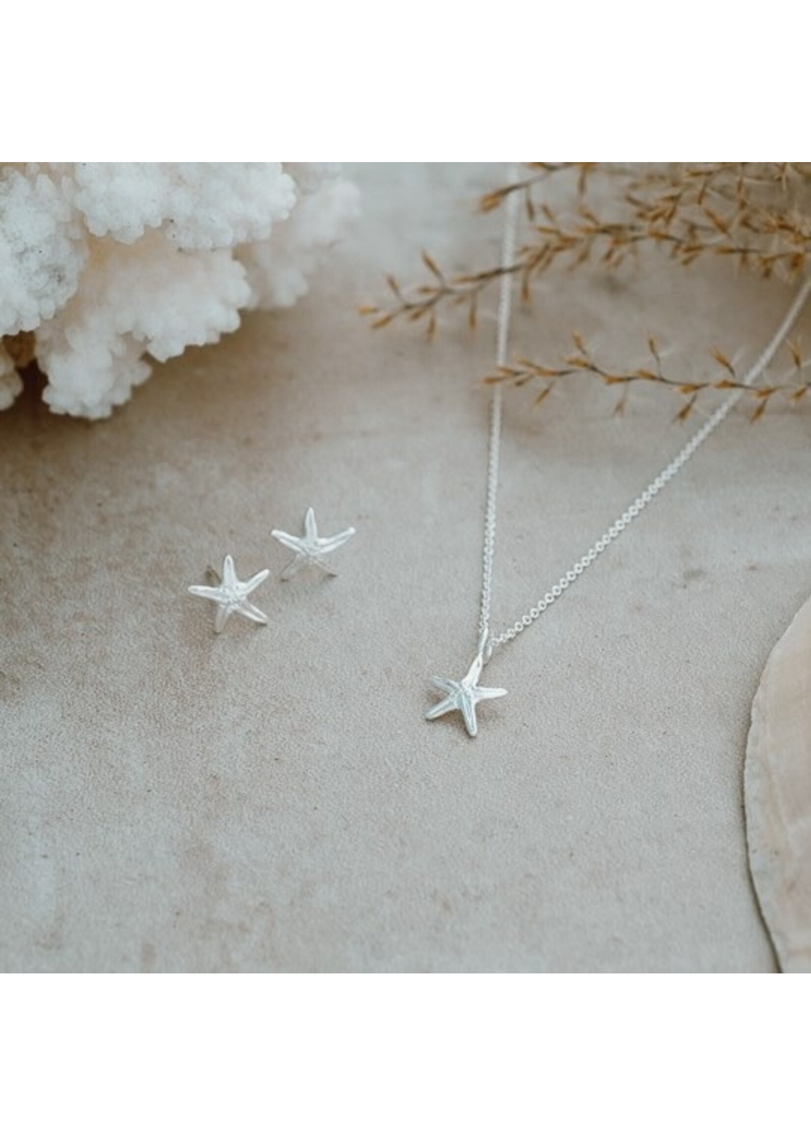 Glee Whimsical Seastar Stud Earrings - Silver Plated