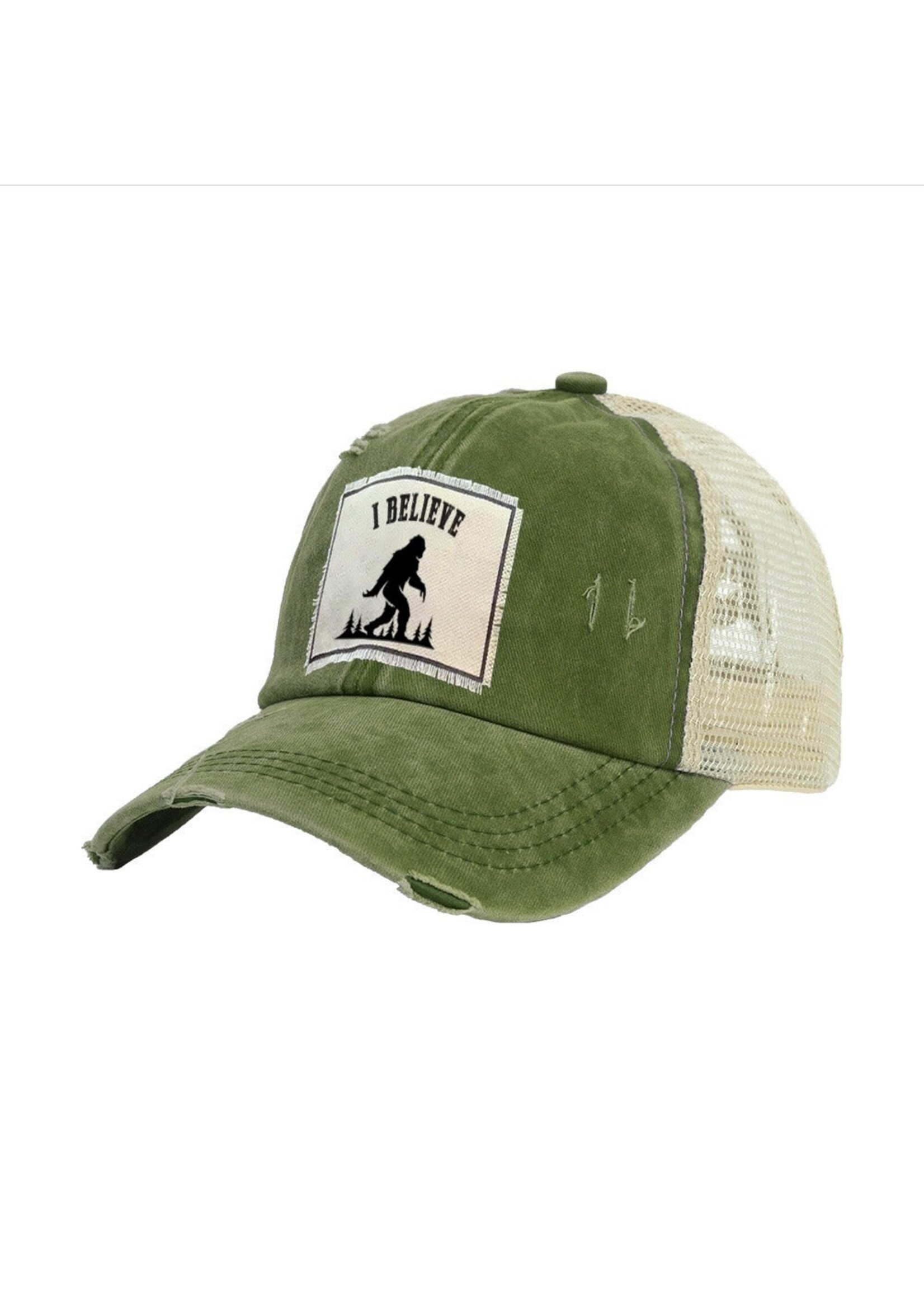 Brief Insanity I Believe Bigfoot Cap