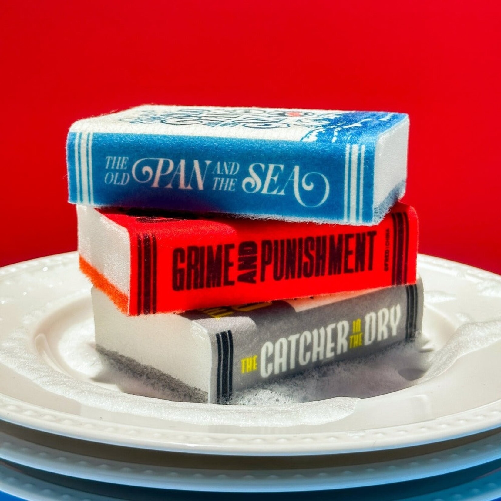 Neat & Novel Sponges (3 Pack)