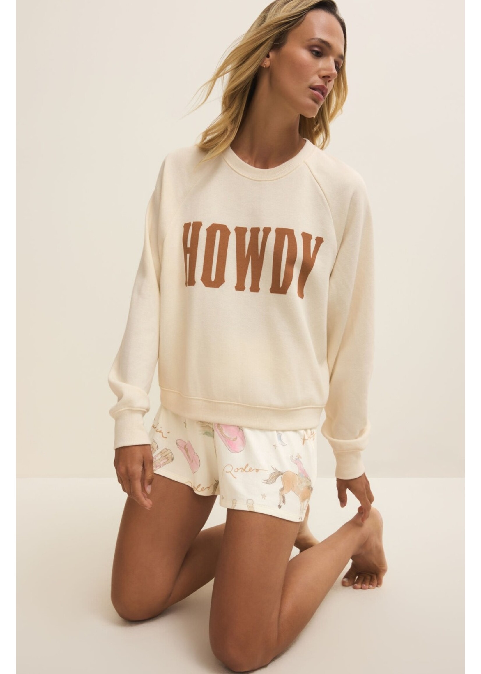 Diverse Group ZLT261240 - Howdy Sweatshirt