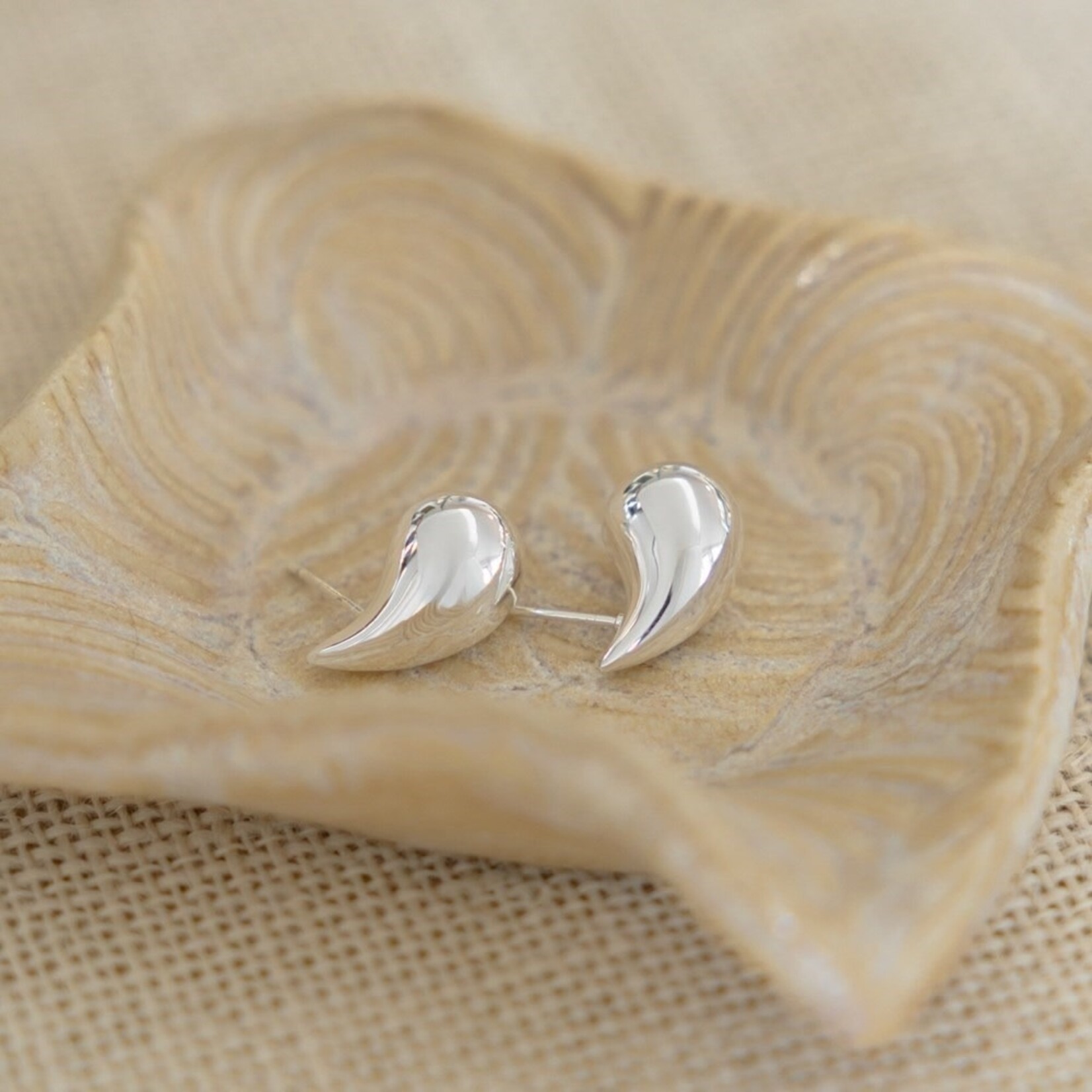 Glee Dream Drop Studs - Silver - Hypoallergenic, Antitarnish