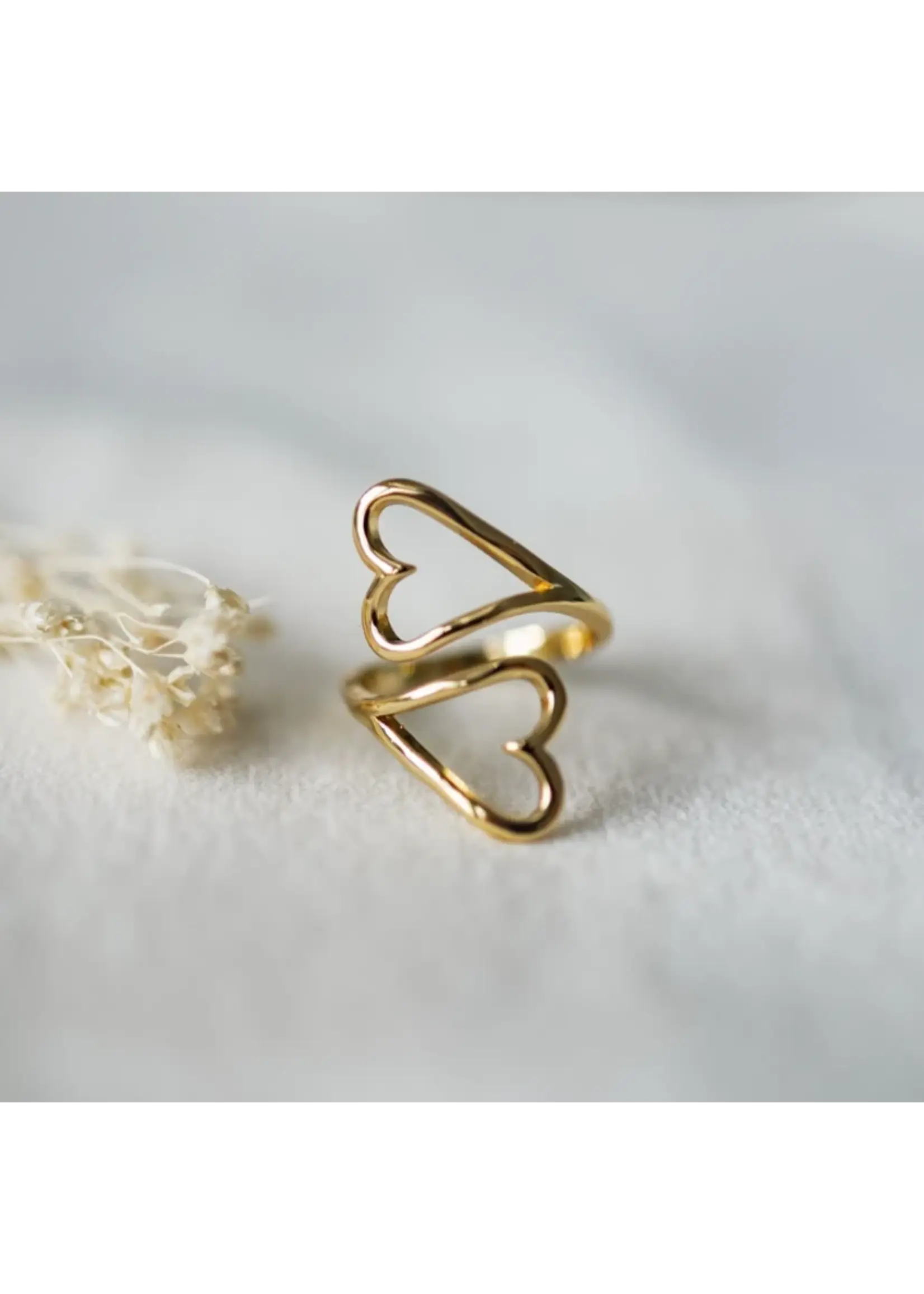 Glee HEARTBOUND RING