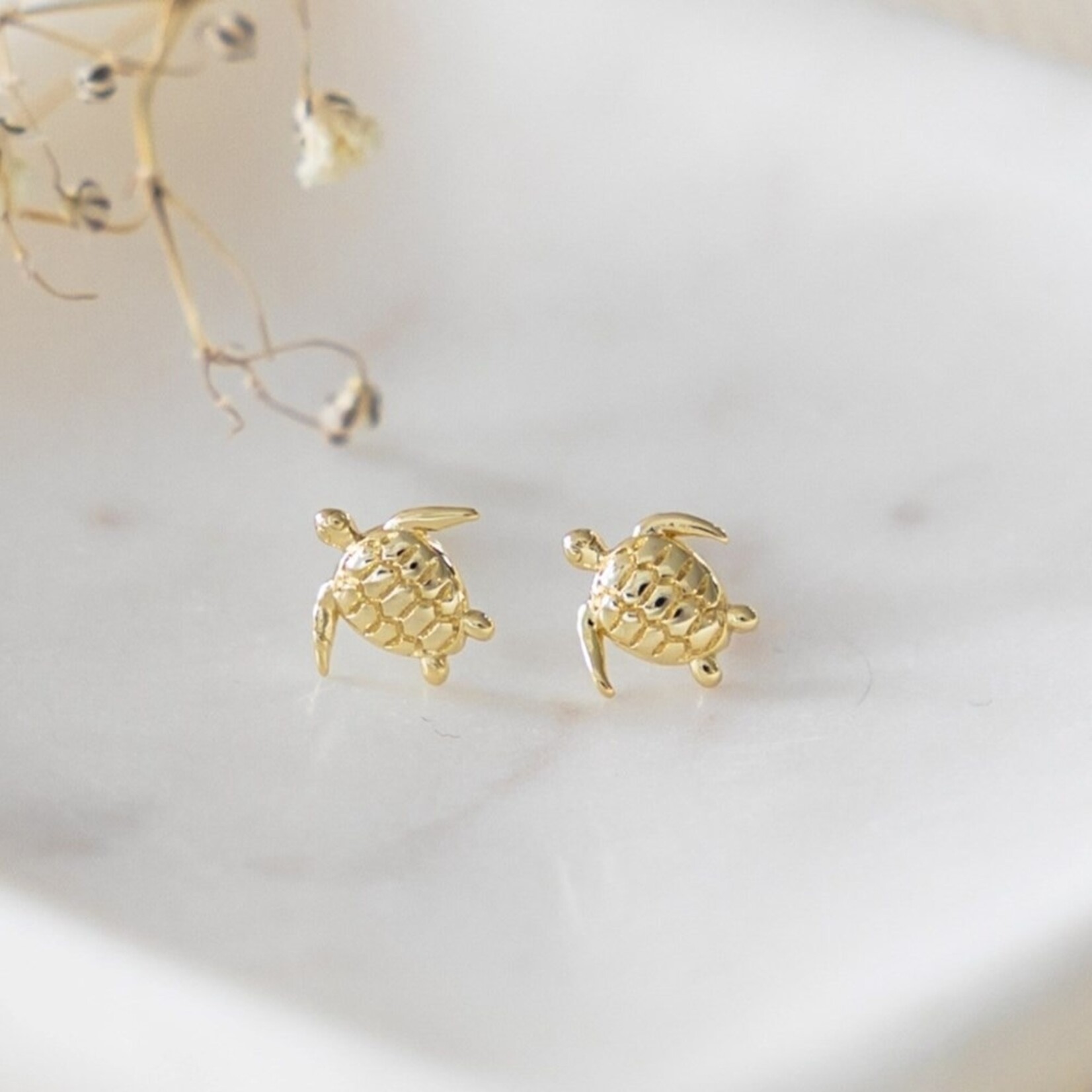 Glee Turtlette Stud Earrings - Hypoallergenic, Anti-tarnish