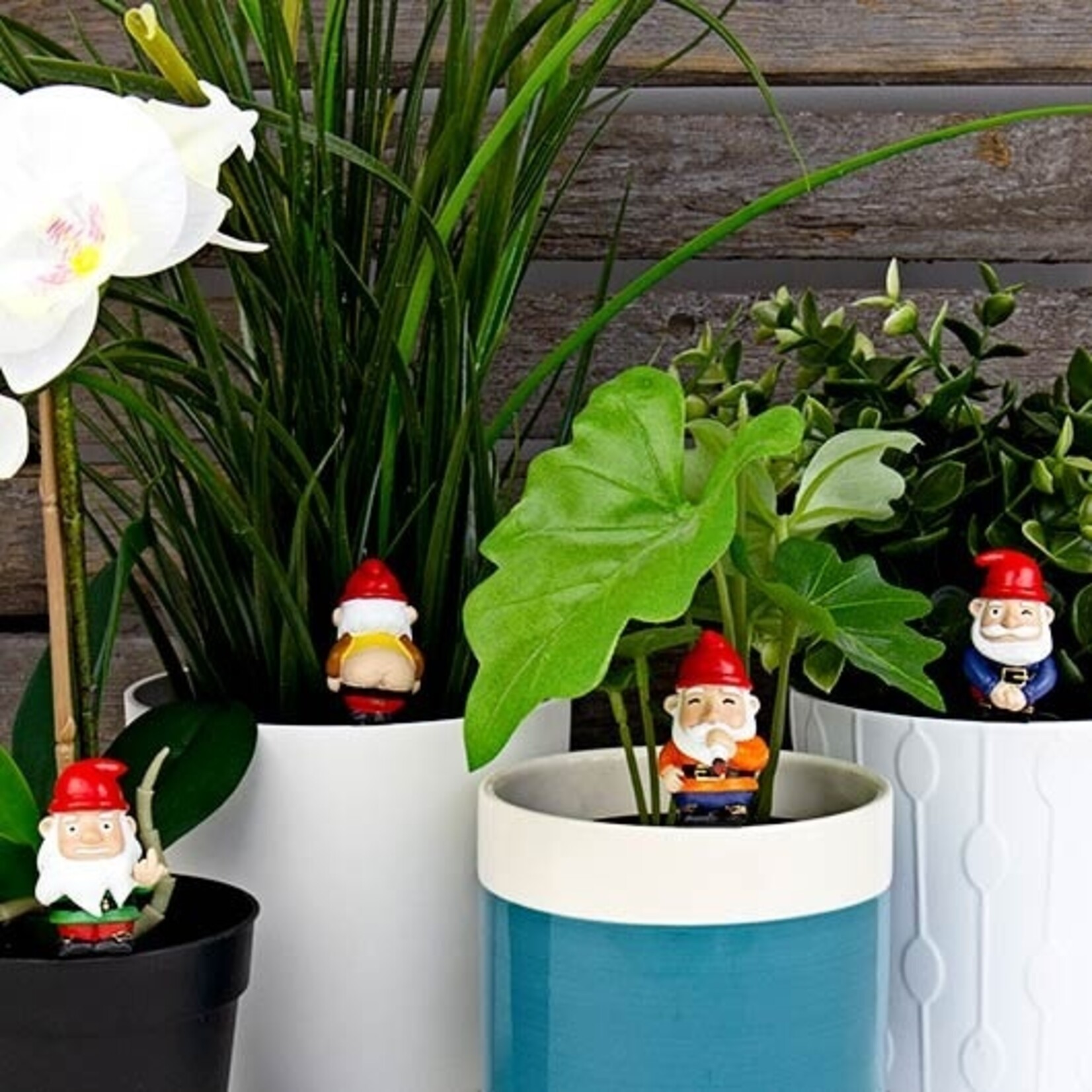 Gift Republic Mini Plant Pot Naughty Gnomes
