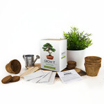 Gift Republic Grow It: Bonsai Tree