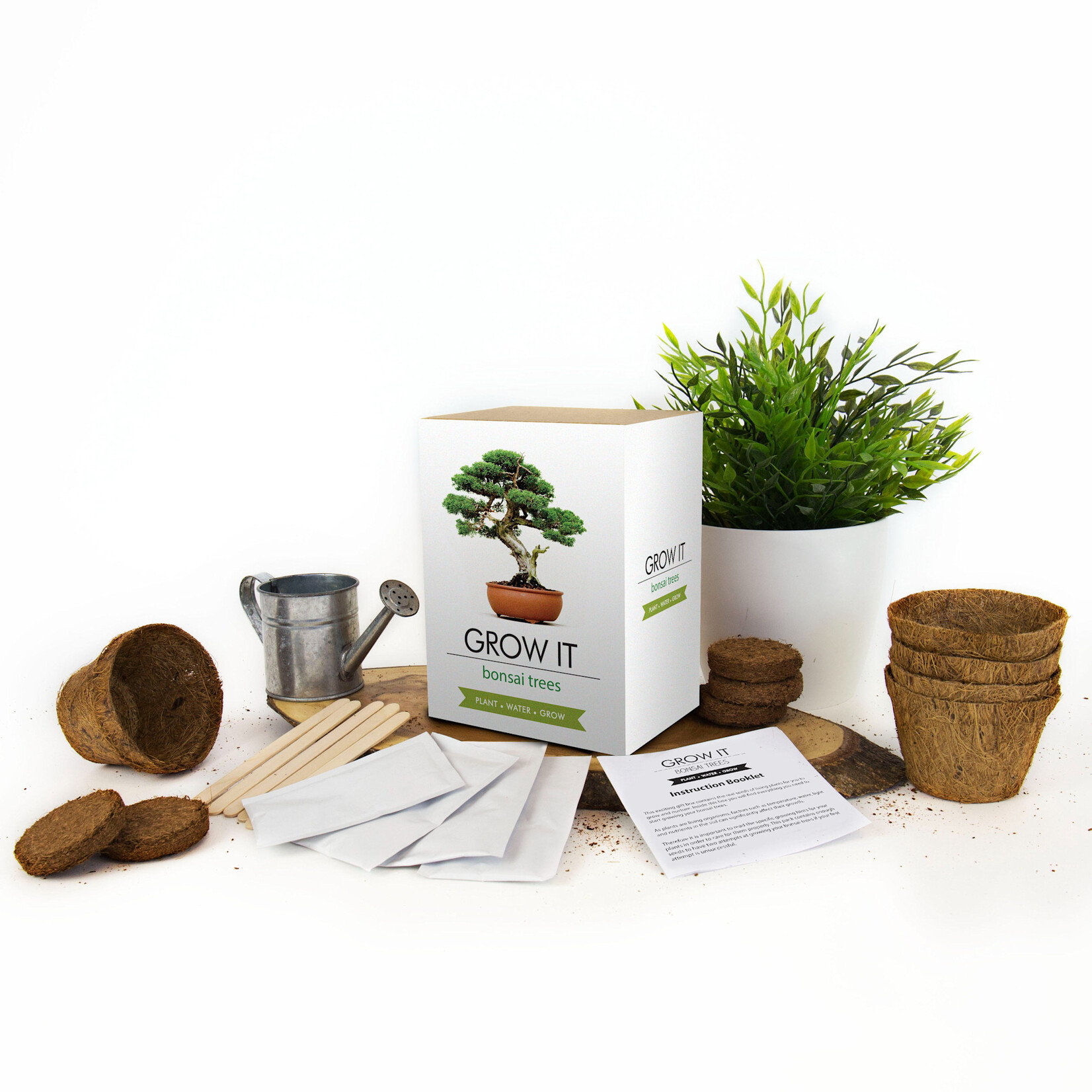 Gift Republic Grow It: Bonsai Tree