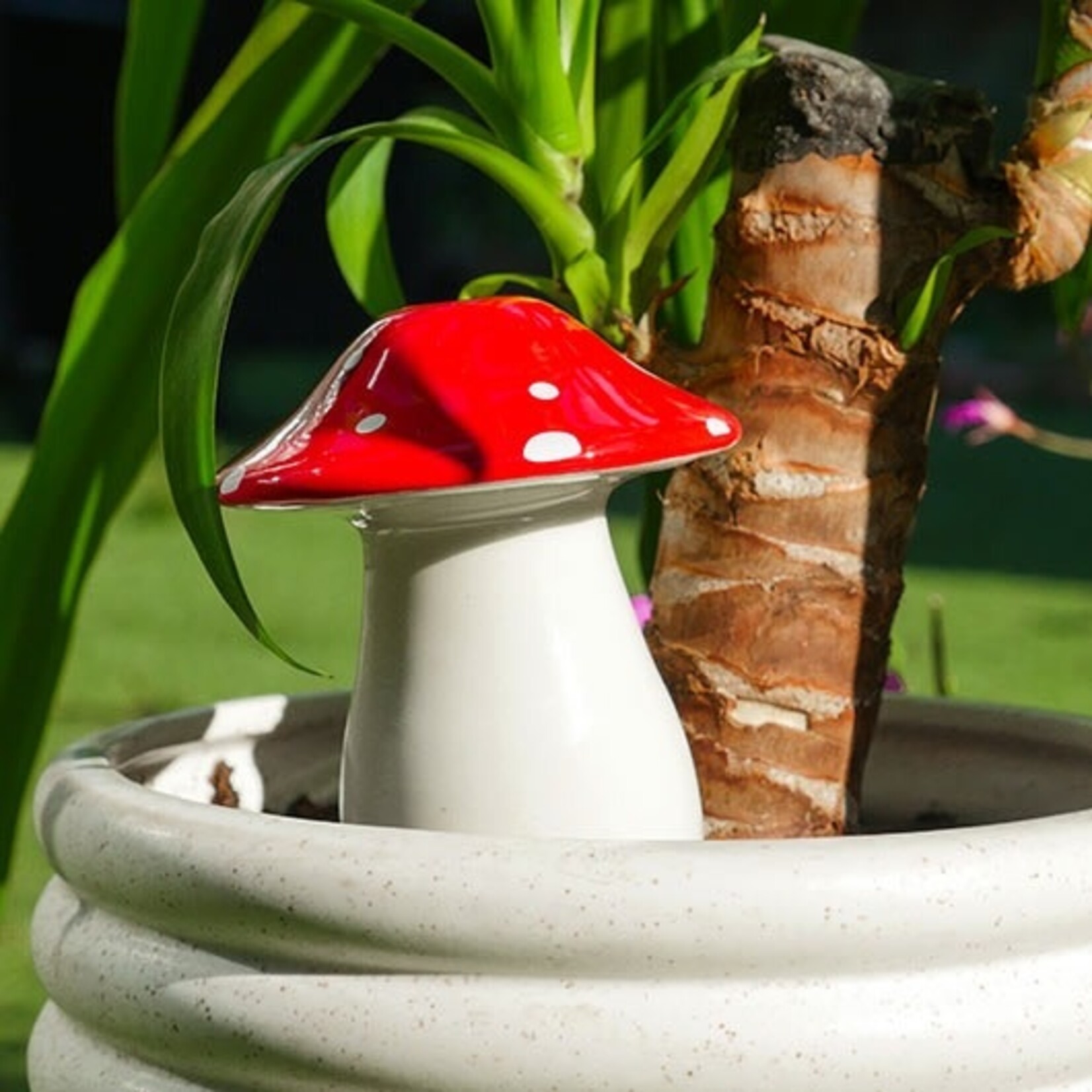 Gift Republic Self-Watering Mushroom Planter