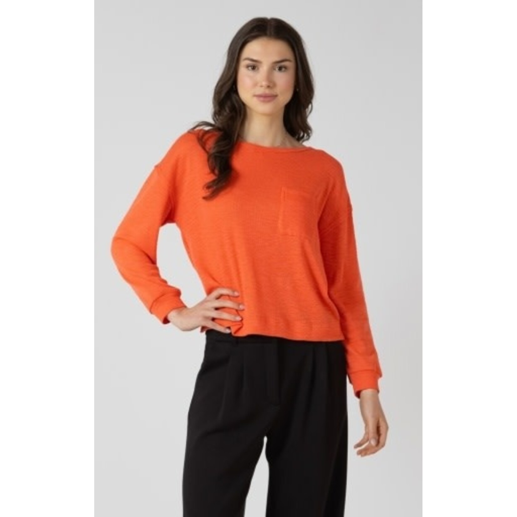 Dex Clothing 2724023 D Crewneck Sweatshirt