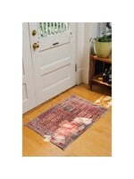 Danica Chronicle Heritage Cotton Rug 2' x 3'