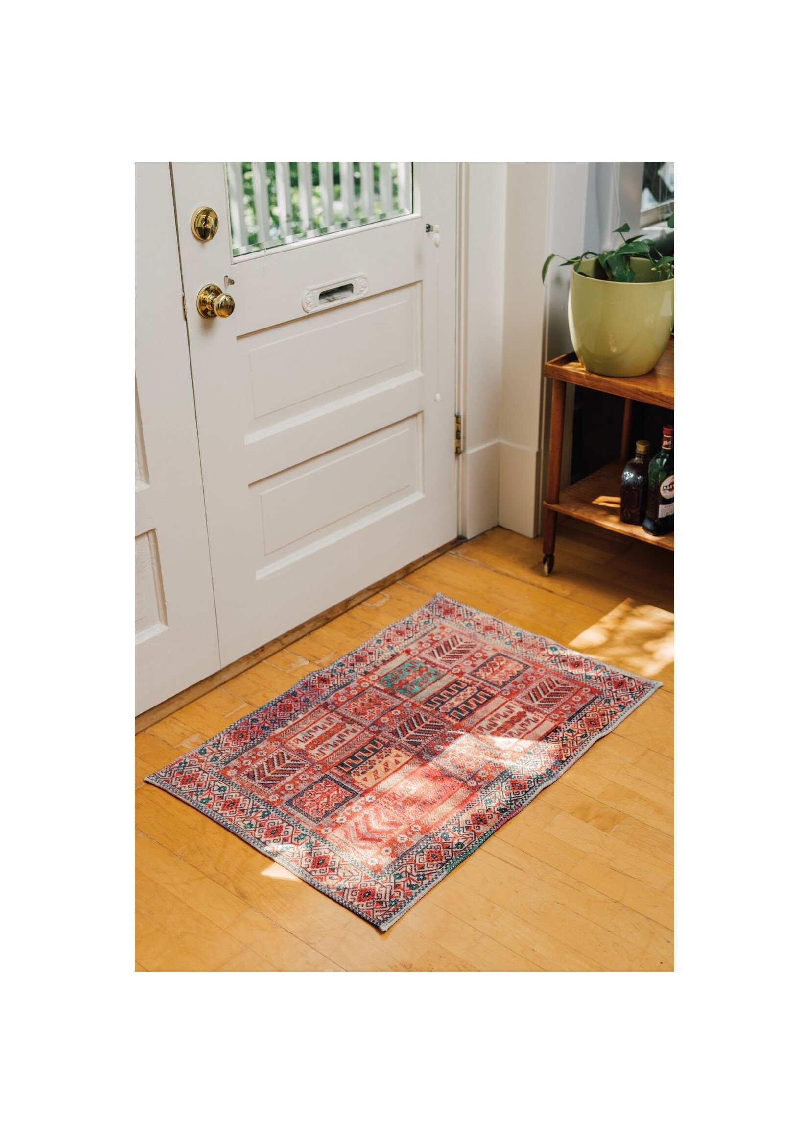 Danica Chronicle Heritage Cotton Rug 2' x 3'