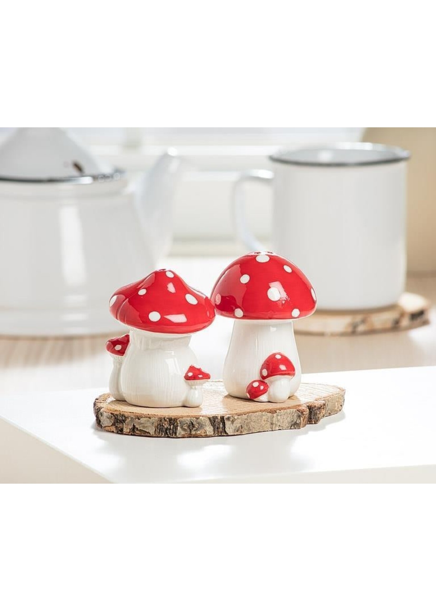 Red Dot Mushroom Salt & Pepper Set