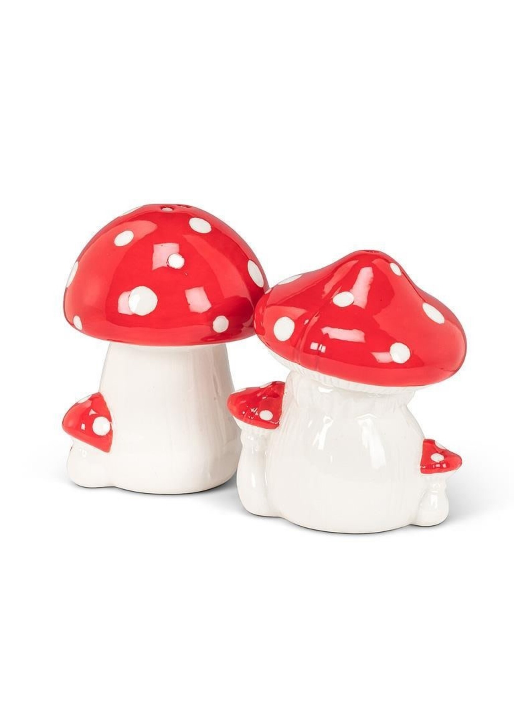 Red Dot Mushroom Salt & Pepper Set