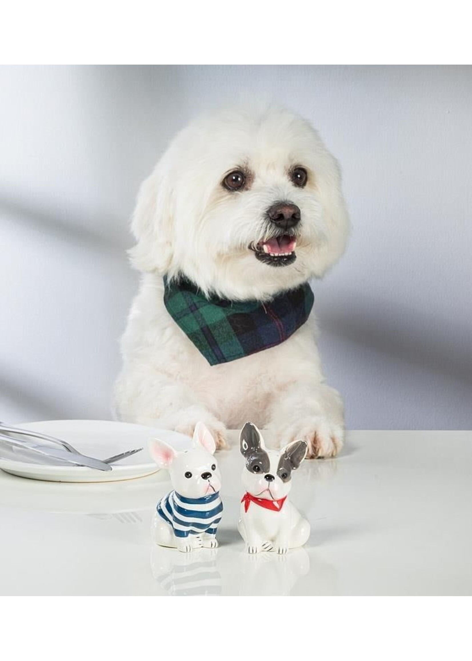 French Bulldog Salt & Pepper Set