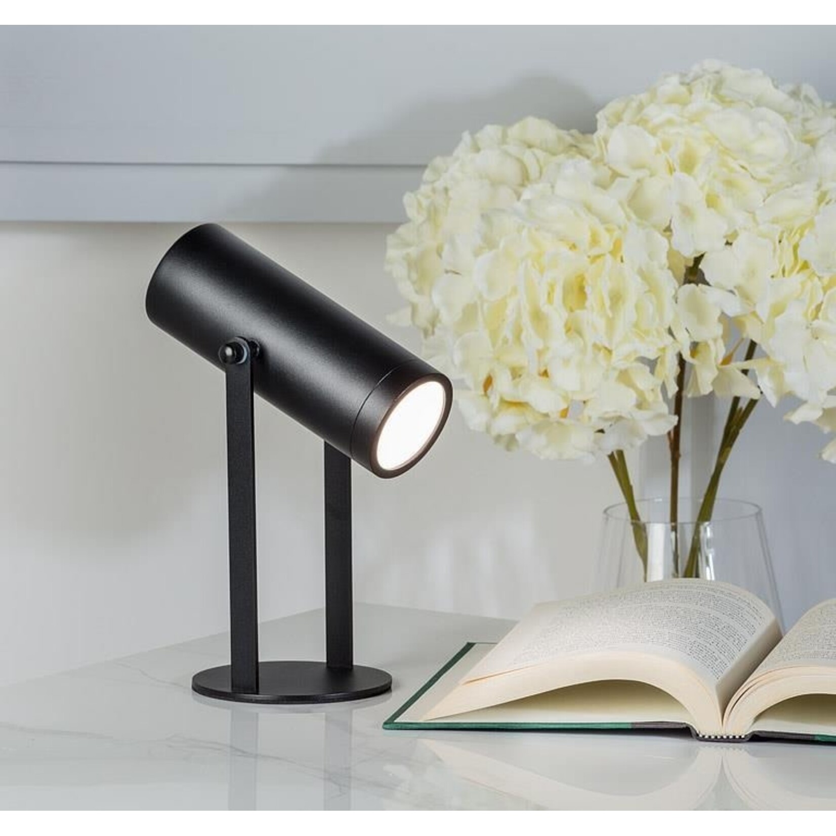 Black Pivot Spotlight LED Lamp 10"