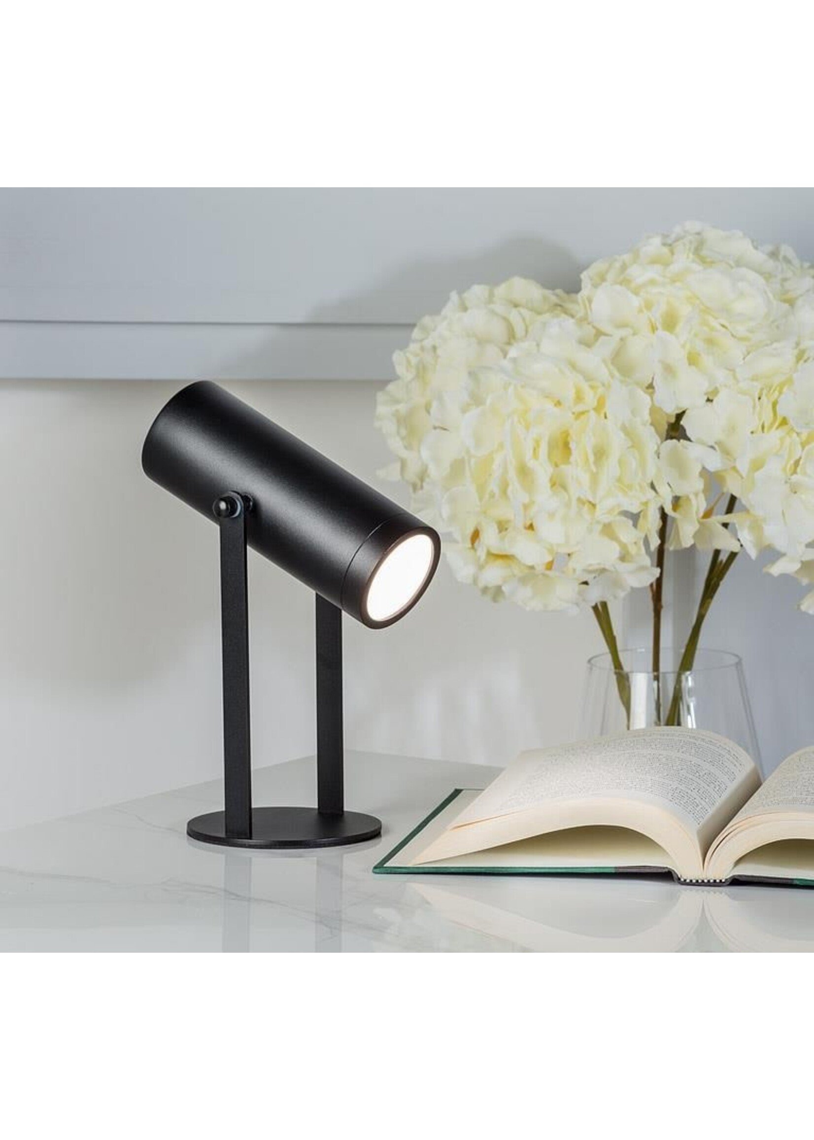 Black Pivot Spotlight LED Lamp 10"