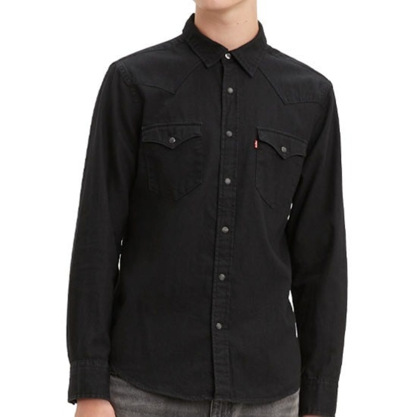 Levi Strauss Canada 85745 - Classic Western Standard Shirt