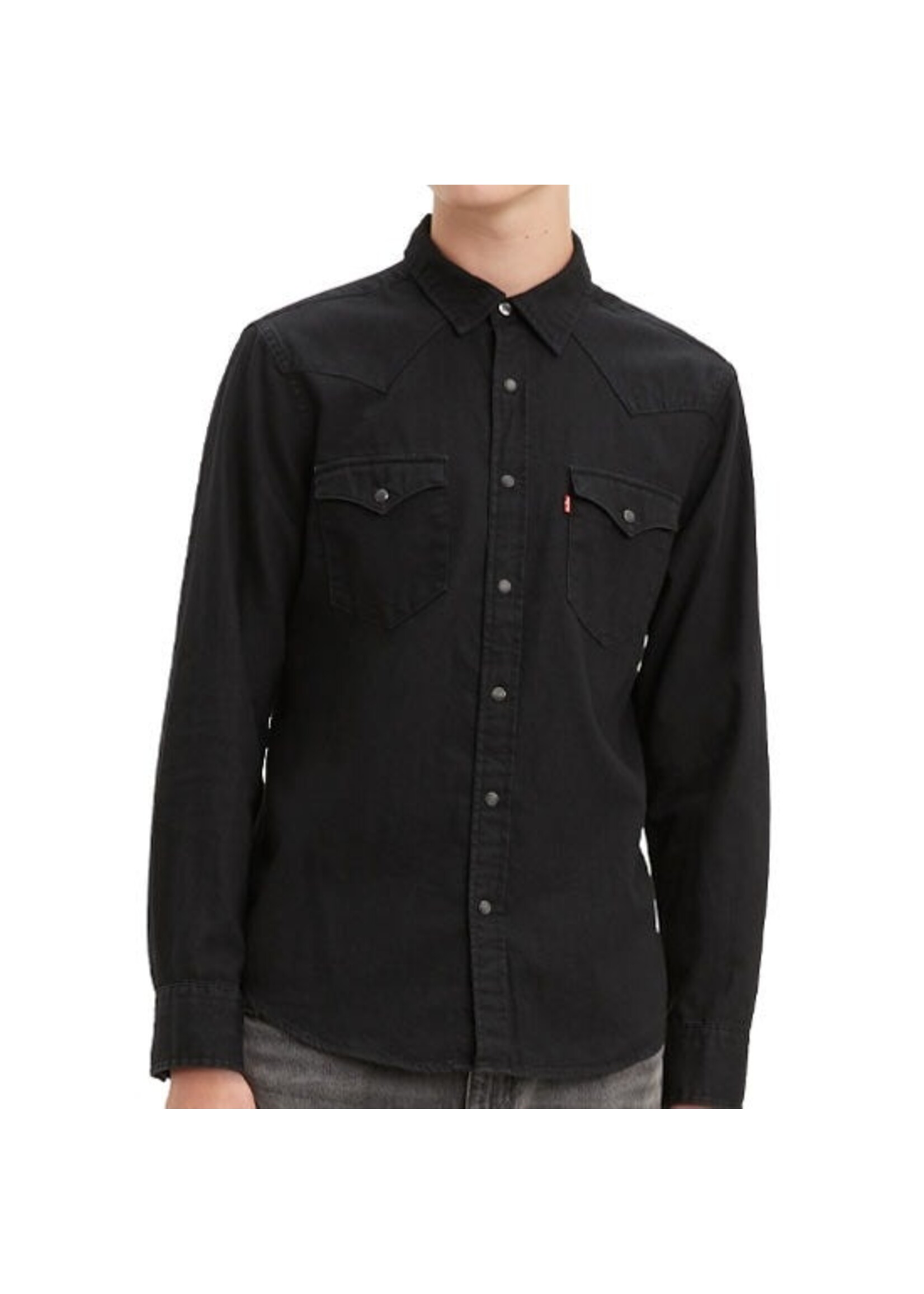 Levi Strauss Canada 85745 - Classic Western Standard Shirt