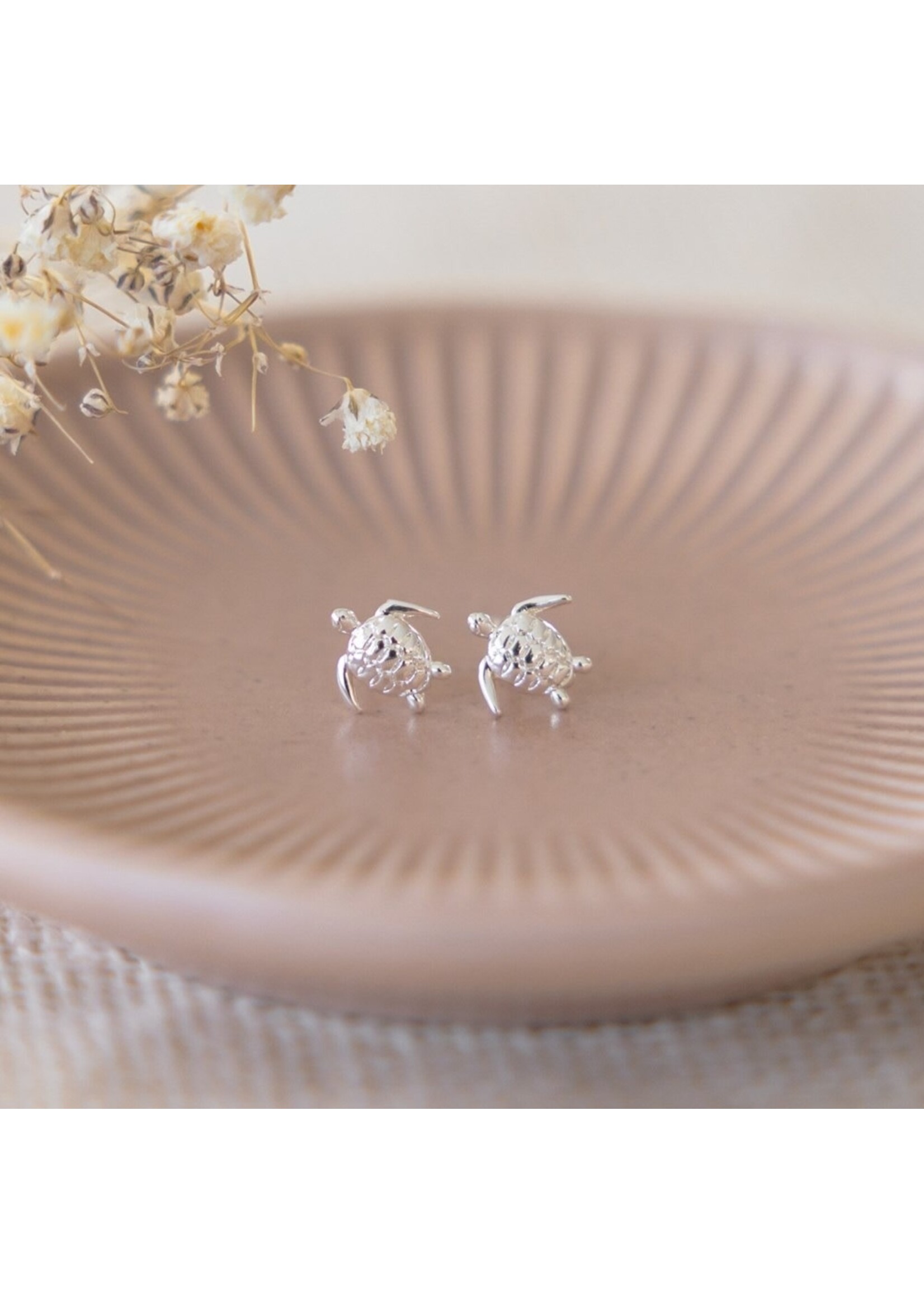 Glee Turtlette Stud Earrings - Hypoallergenic, Anti-tarnish