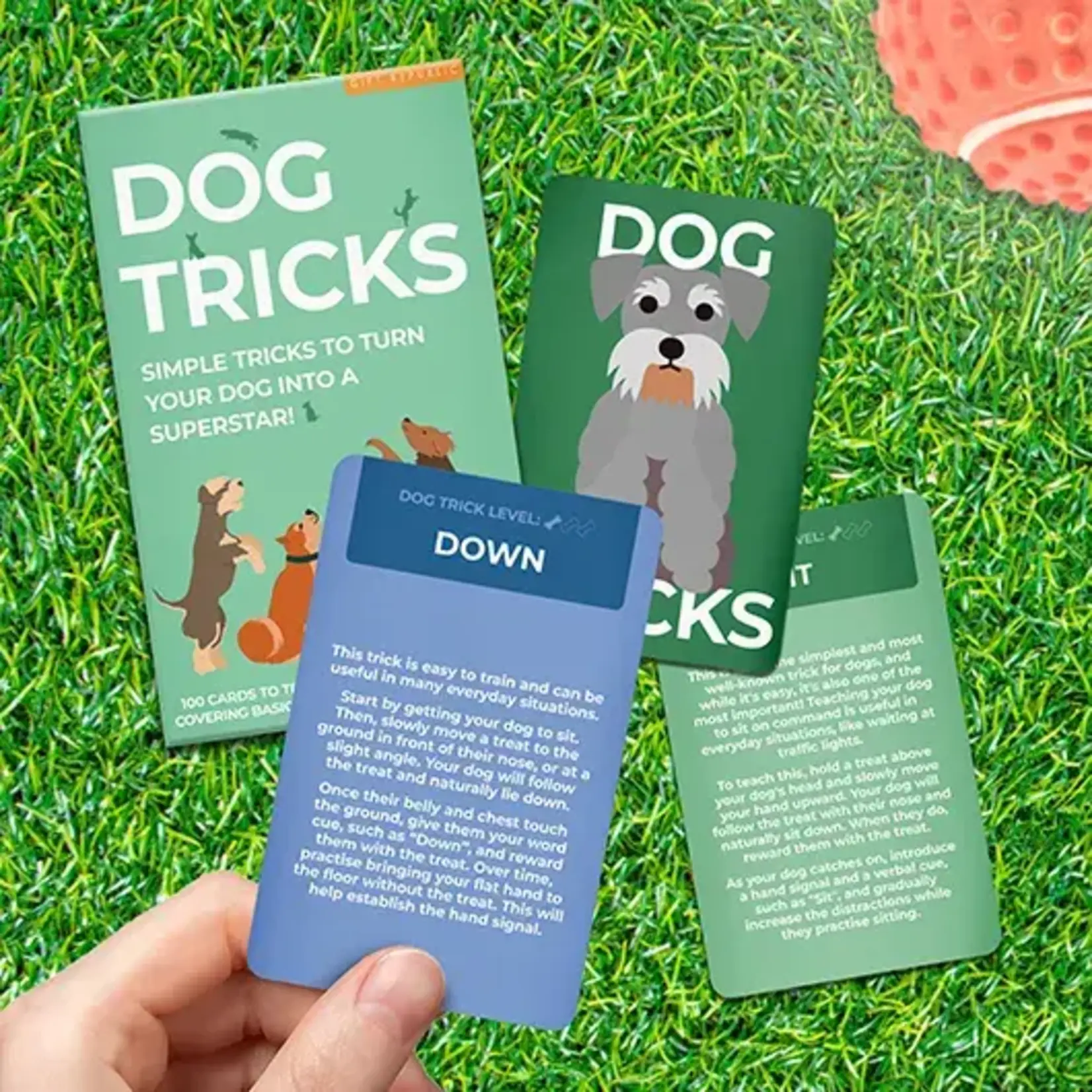 Gift Republic Dog Tricks Card Pack