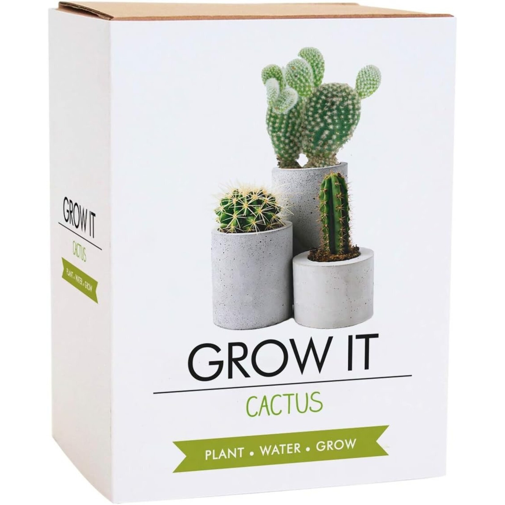 Gift Republic Grow It: Cactus Plants