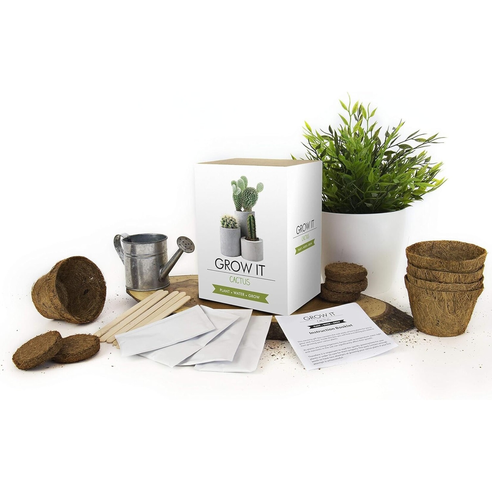 Gift Republic Grow It: Cactus Plants