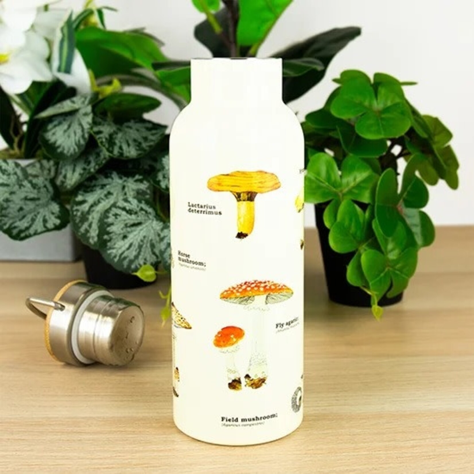 Gift Republic Multi Mushroom Water Bottle