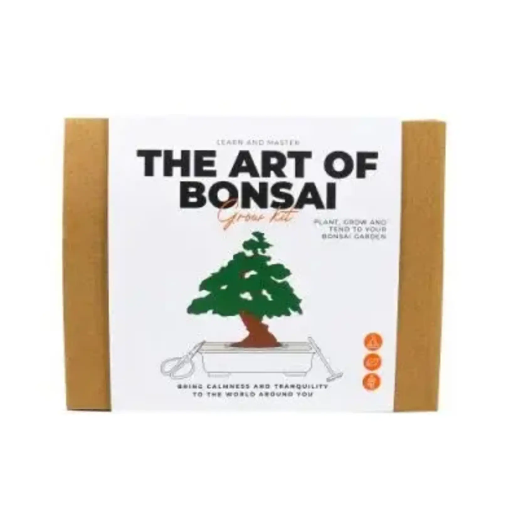 Gift Republic The Art of Bonsai Grow Kit