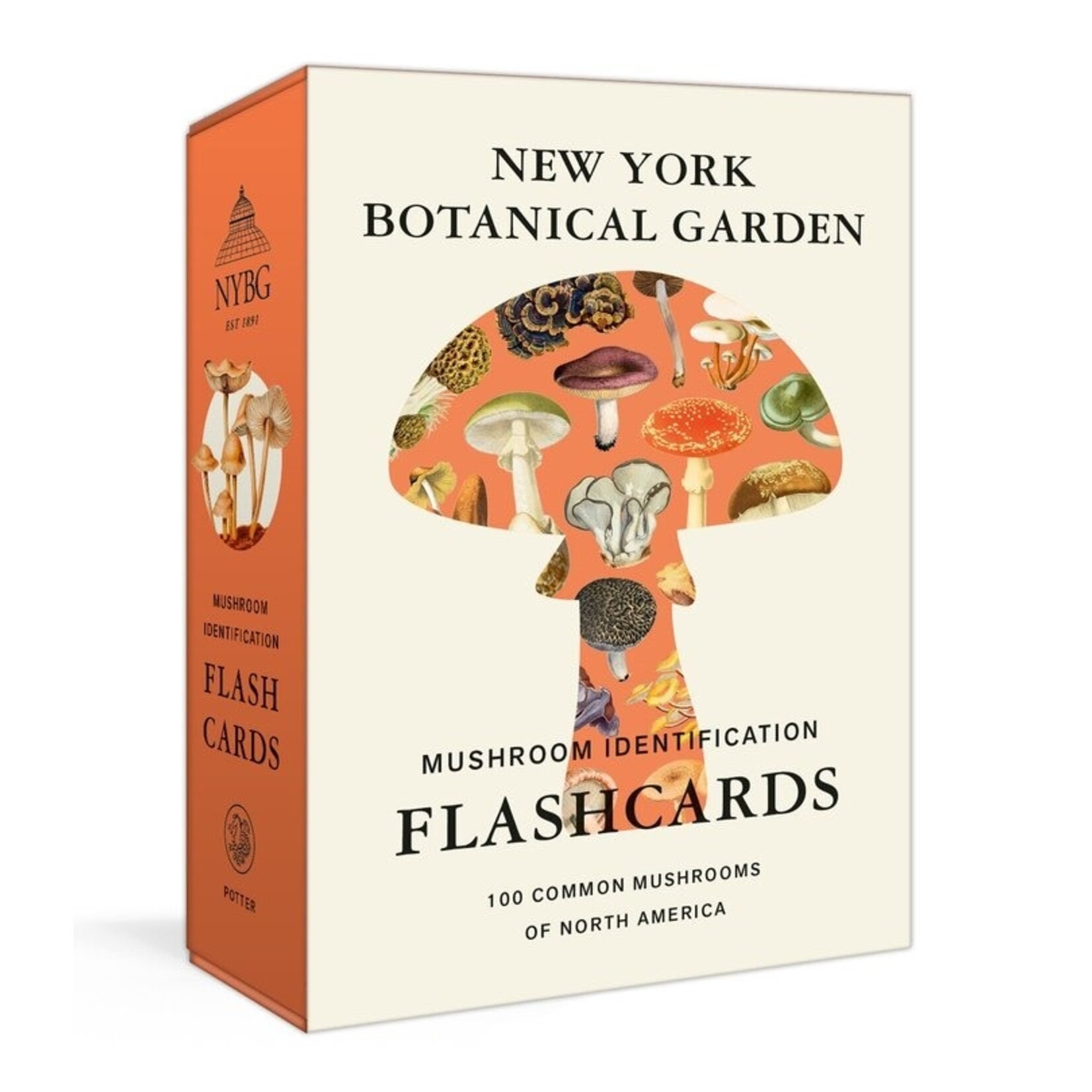Penguin Random House New York Botanical Garden Mushroom Identification Flashcards: 100 Common Mushrooms of North America