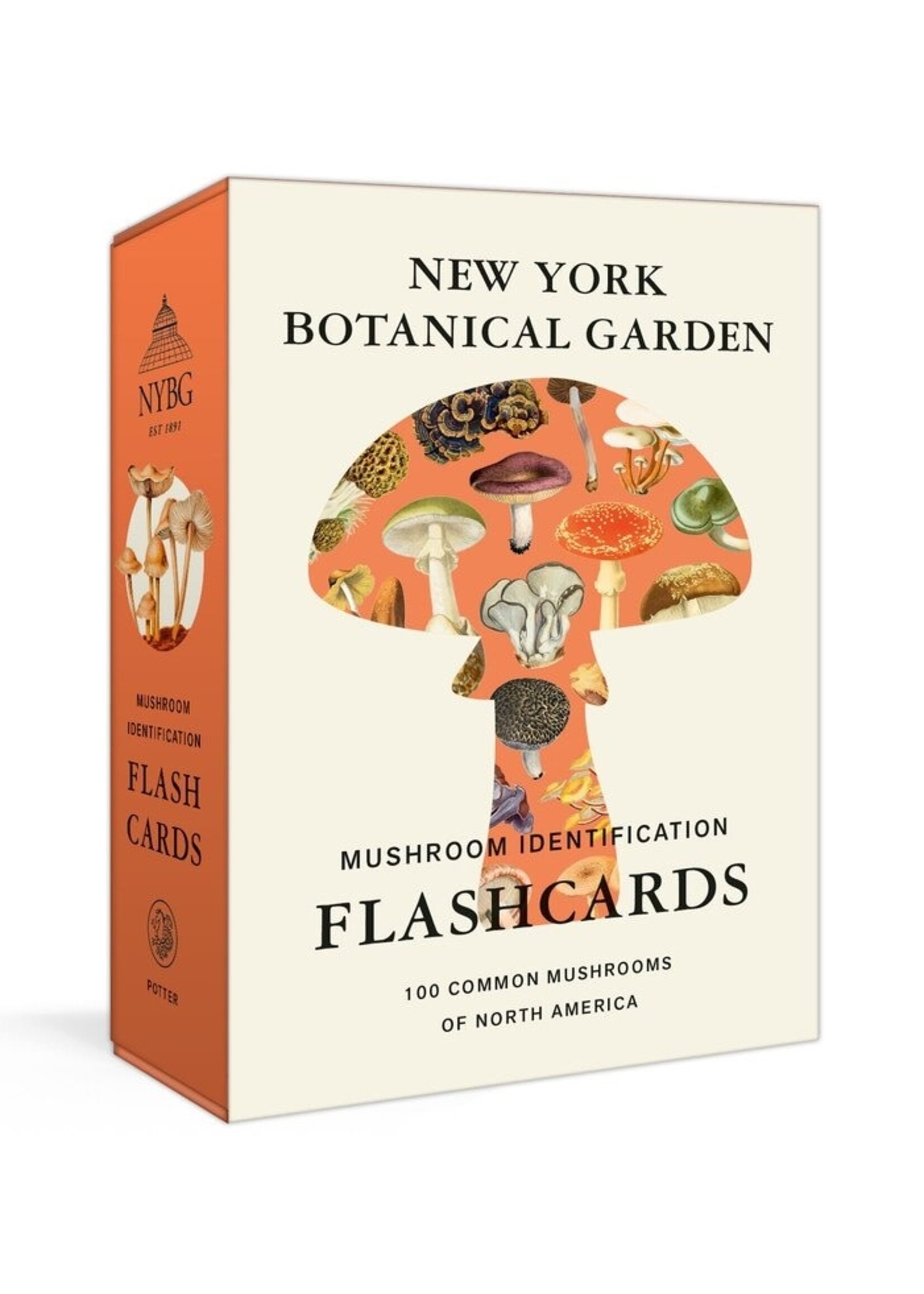Penguin Random House New York Botanical Garden Mushroom Identification Flashcards: 100 Common Mushrooms of North America