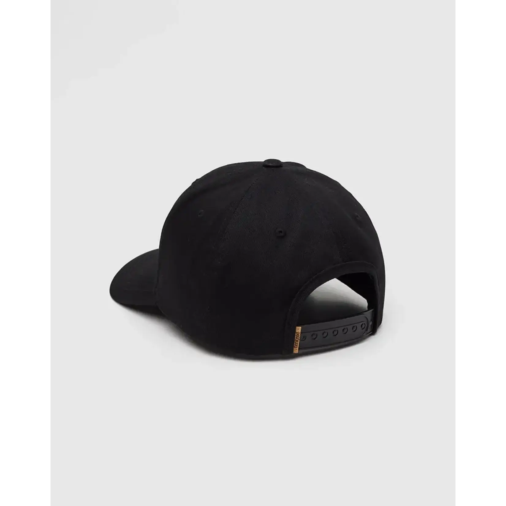 Tentree TAU6560 - Lake Patch Elevation Hat
