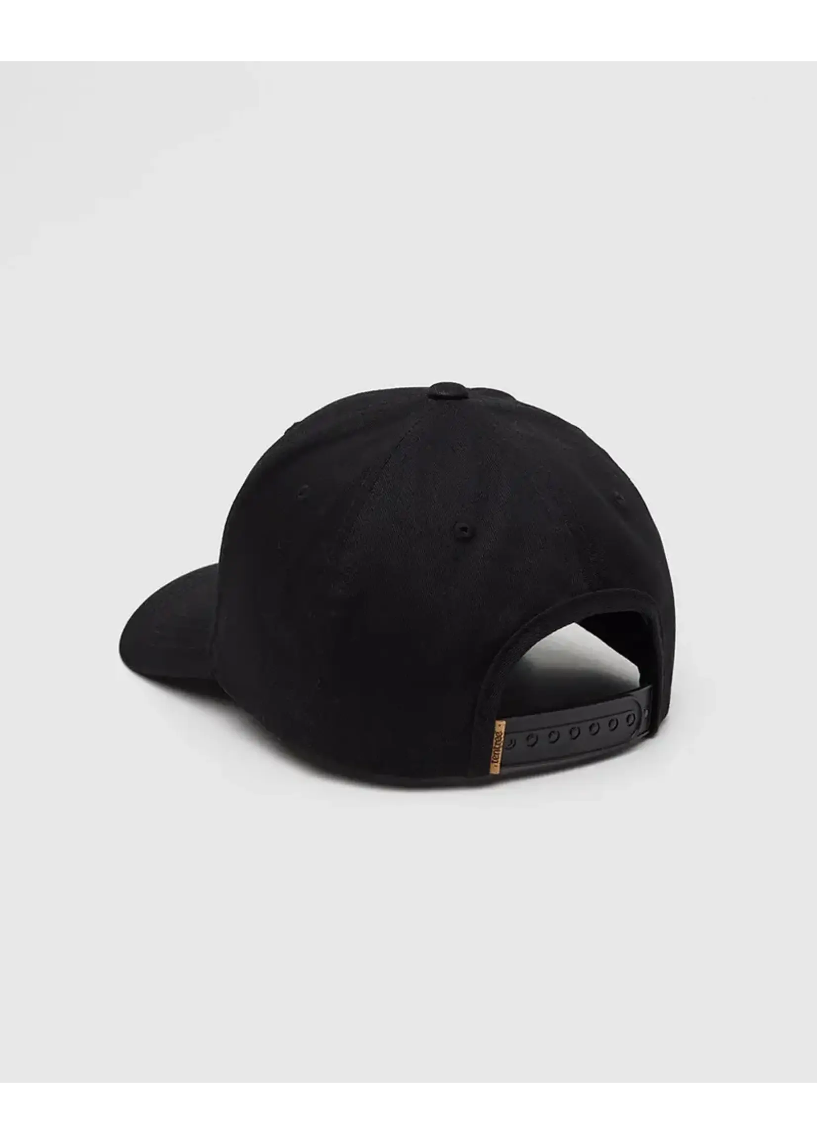 Tentree TAU6560 - Lake Patch Elevation Hat