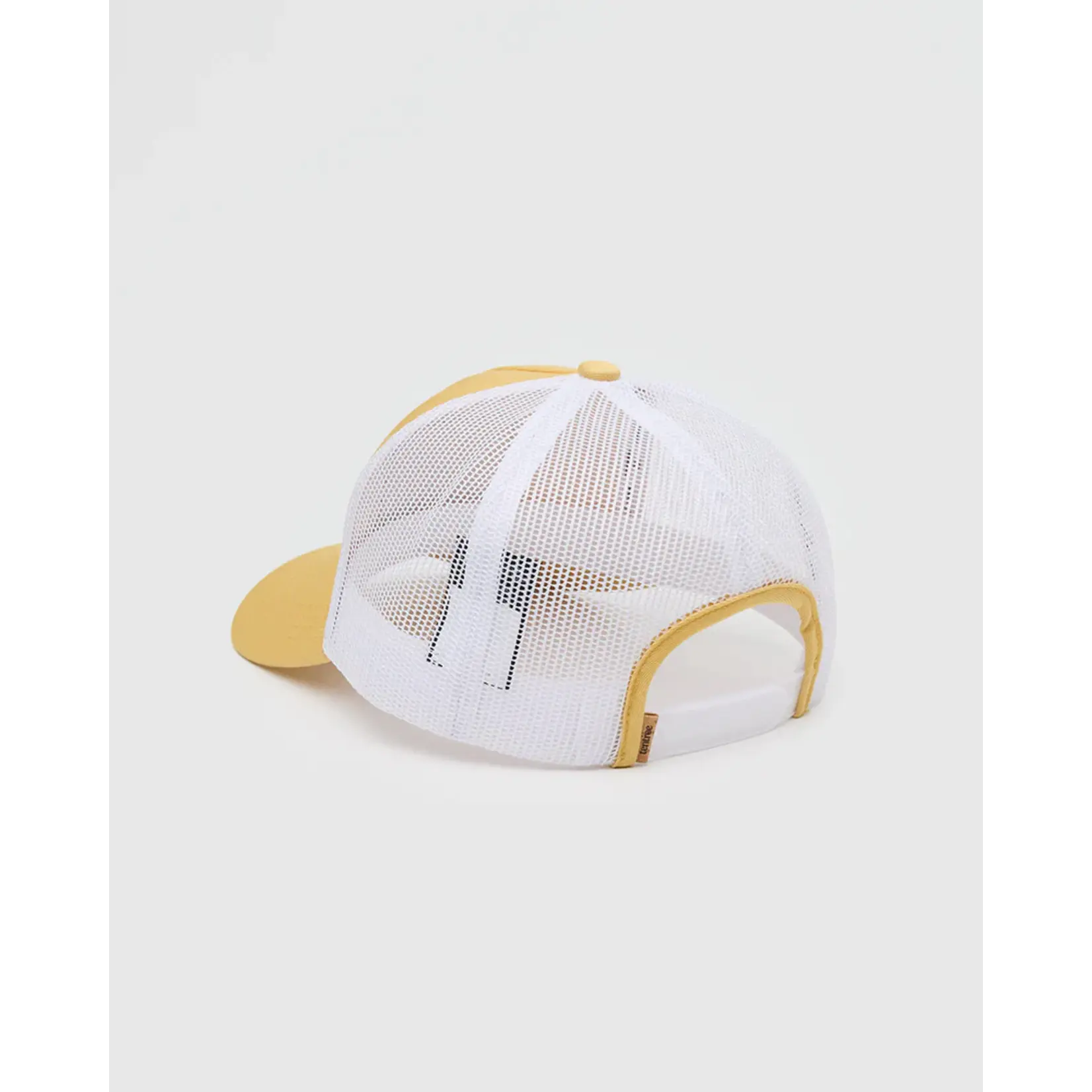 Tentree TAU6557 - Lake Logo Altitude Hat