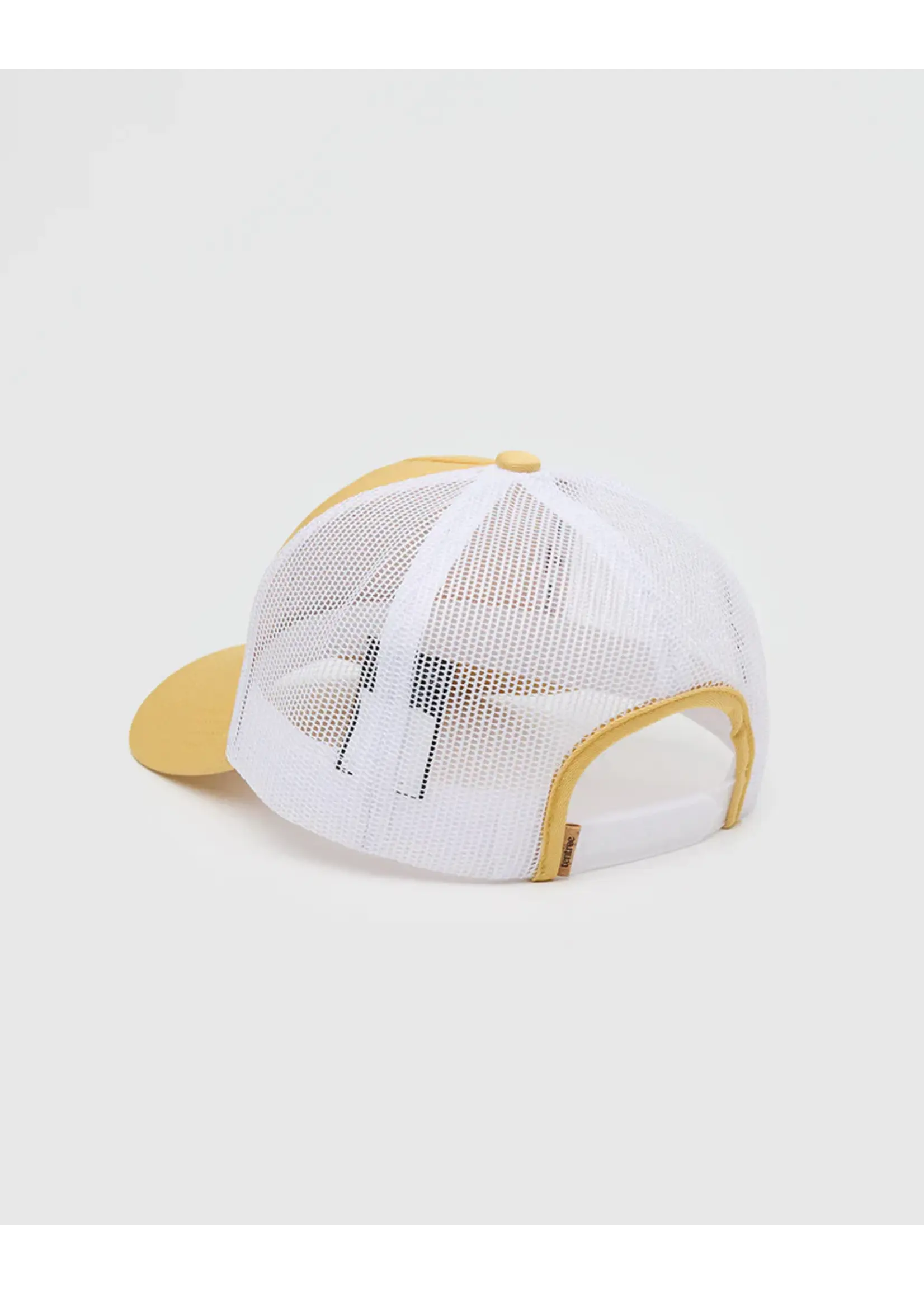 Tentree TAU6557 - Lake Logo Altitude Hat