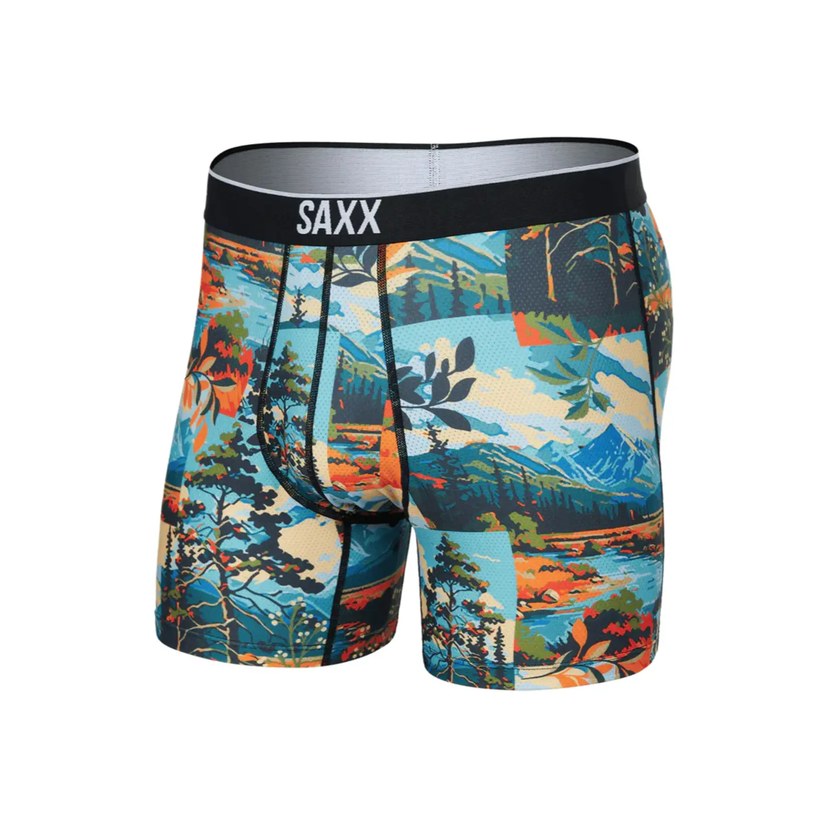SAXX Underwear SXBB29 - Volt Breathable Mesh Boxer Brief (Painted Landscape)
