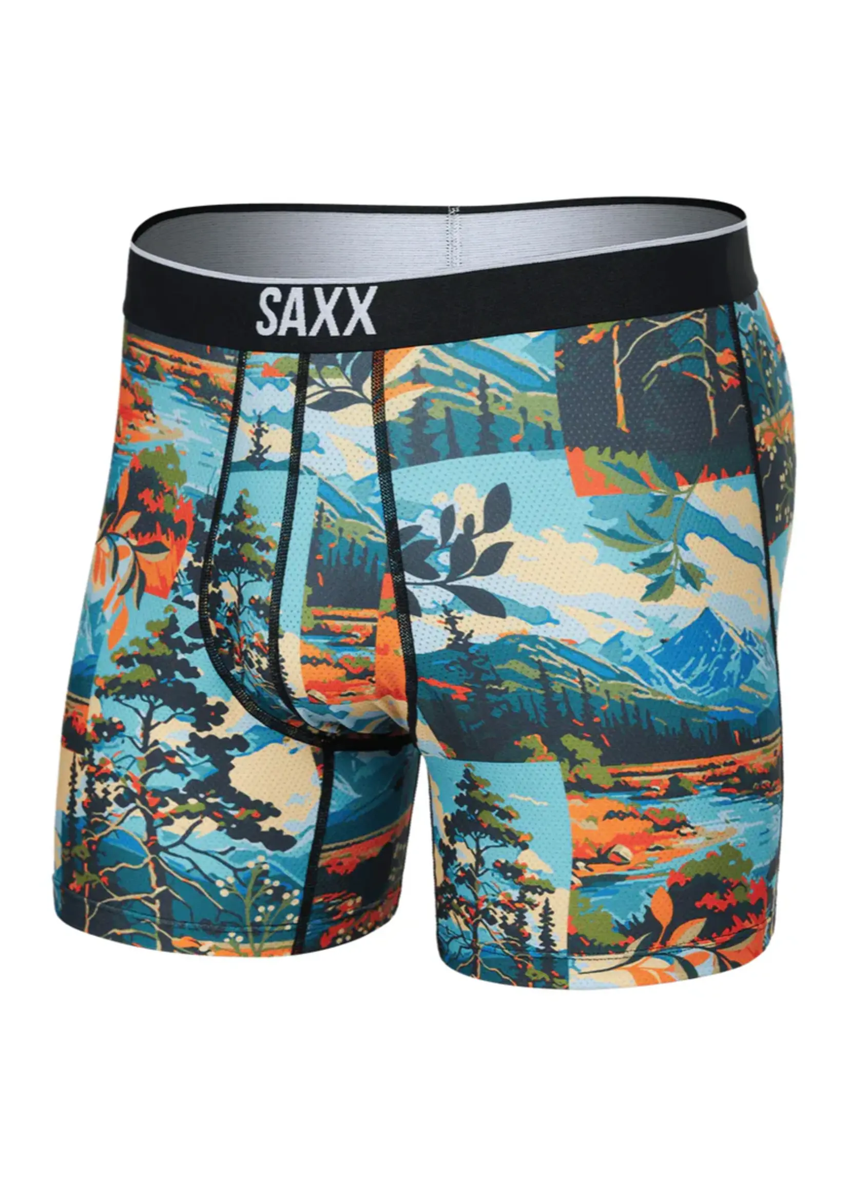 SAXX Underwear SXBB29 - Volt Breathable Mesh Boxer Brief (Painted Landscape)