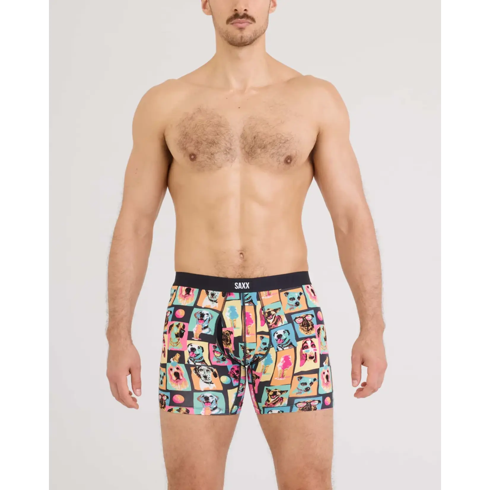 SAXX Underwear SXVX24F-SDS - Vibe XTRA Soft Comfort Boxer Brief with Fly (Summer Dogs of Saxx)