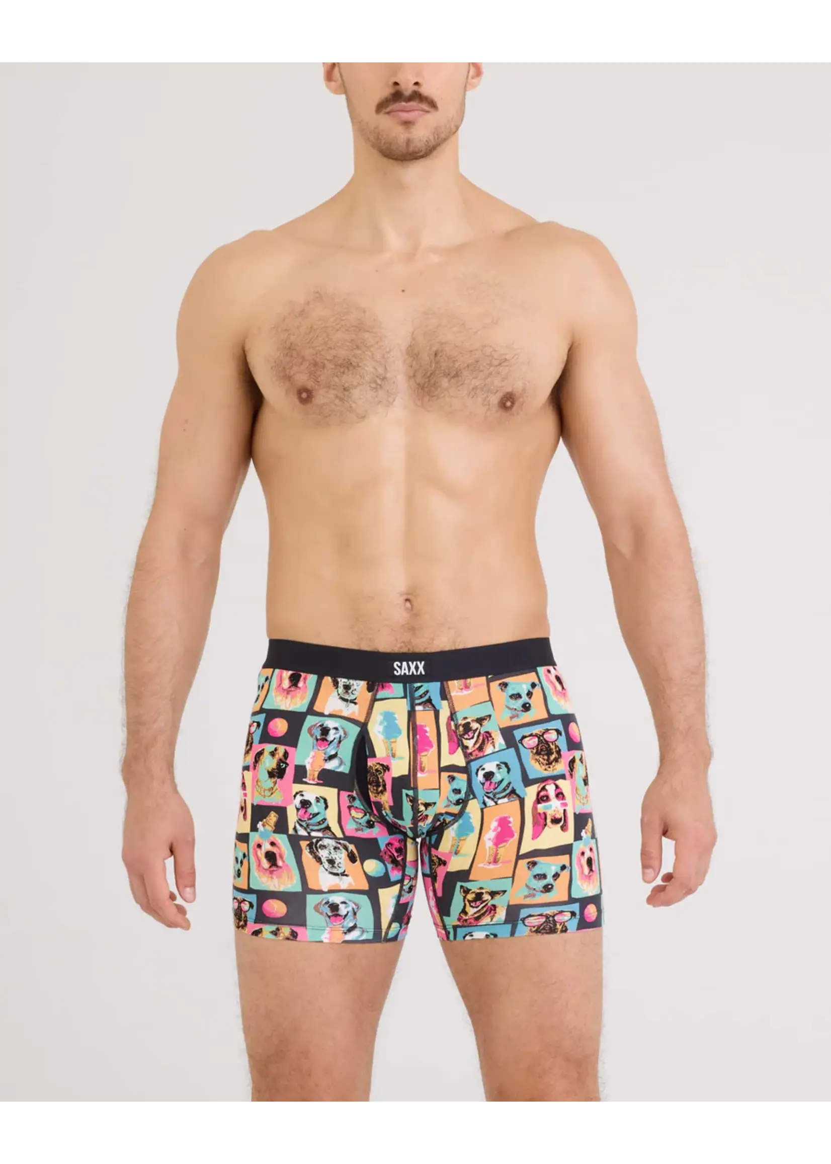 SAXX Underwear SXVX24F-SDS - Vibe XTRA Soft Comfort Boxer Brief with Fly (Summer Dogs of Saxx)