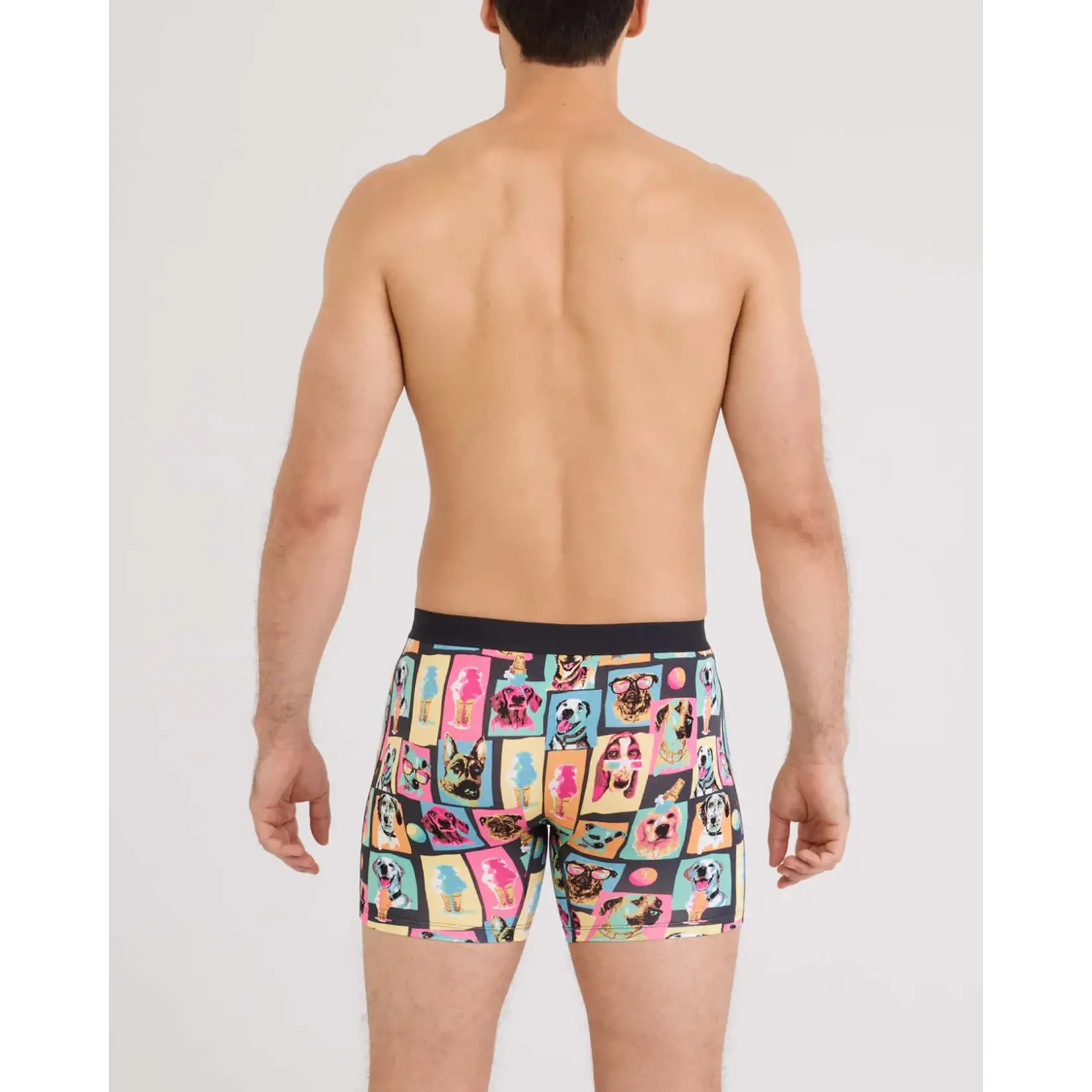 SAXX Underwear SXVX24F-SDS - Vibe XTRA Soft Comfort Boxer Brief with Fly (Summer Dogs of Saxx)