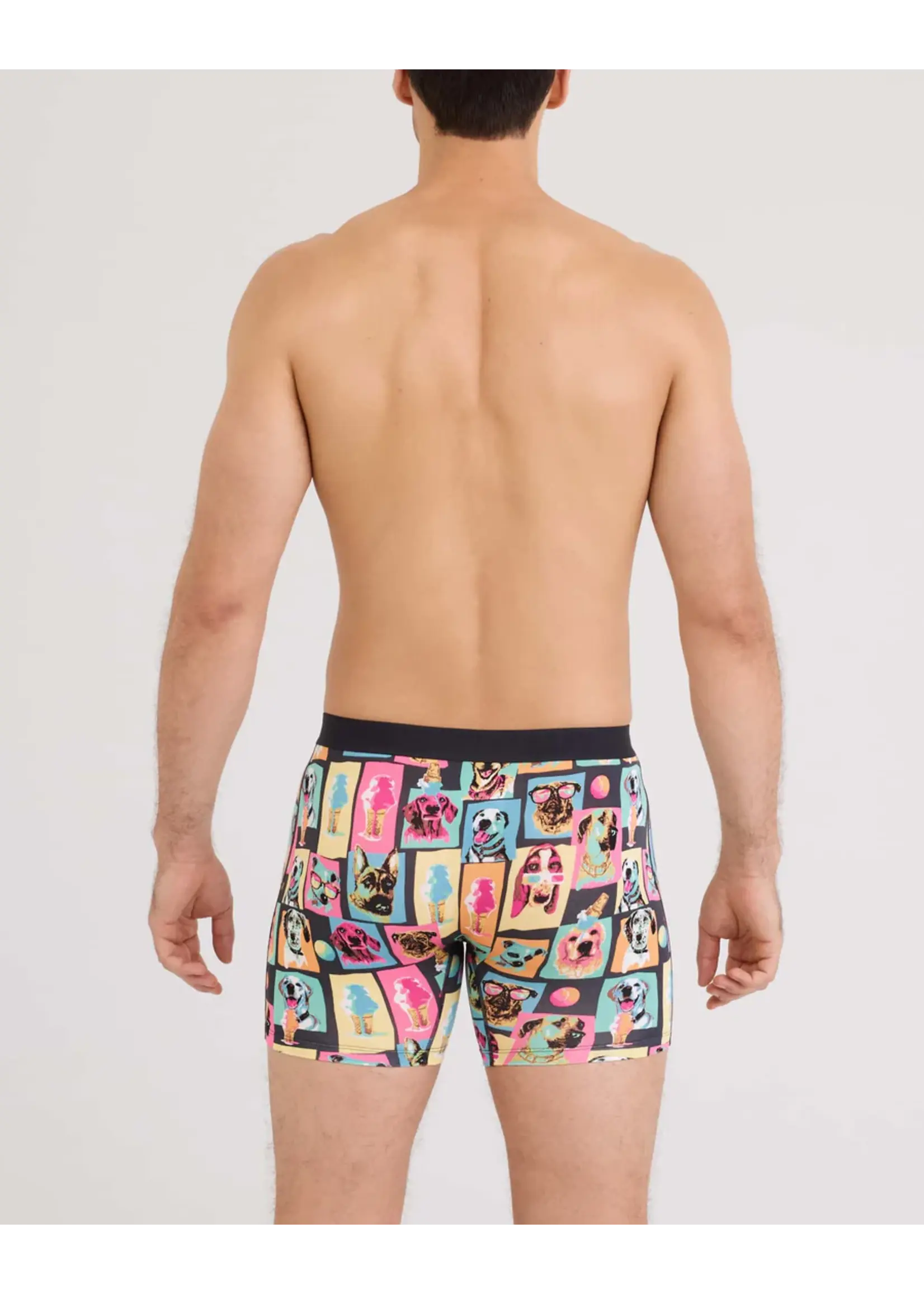 SAXX Underwear SXVX24F-SDS - Vibe XTRA Soft Comfort Boxer Brief with Fly (Summer Dogs of Saxx)