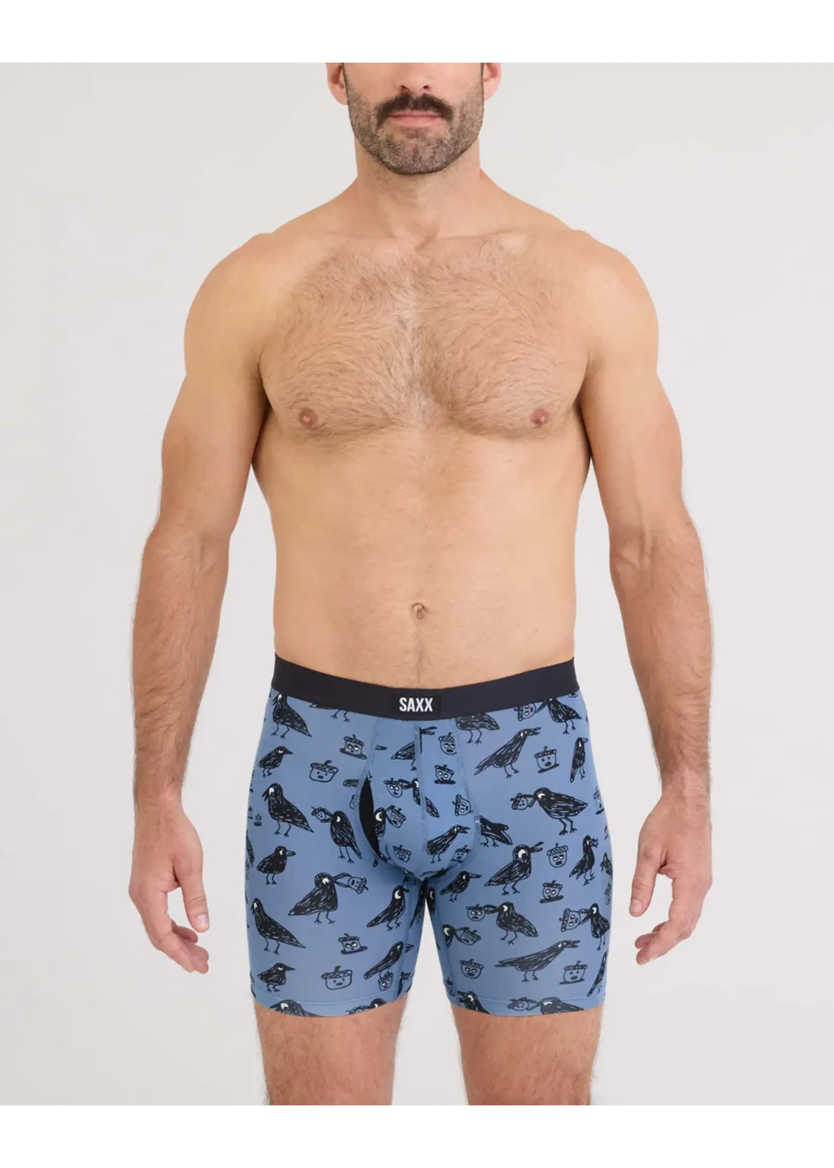 SAXX Underwear SXVX24F-PTN - Vibe XTRA Soft Comfort Boxer Brief with FLy (Protect the Nuts/Blue Horizon)