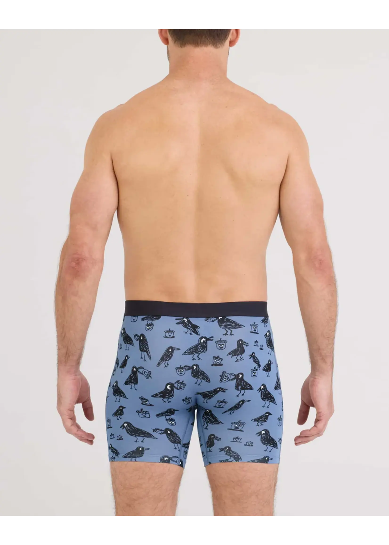 SAXX Underwear SXVX24F-PTN - Vibe XTRA Soft Comfort Boxer Brief with FLy (Protect the Nuts/Blue Horizon)