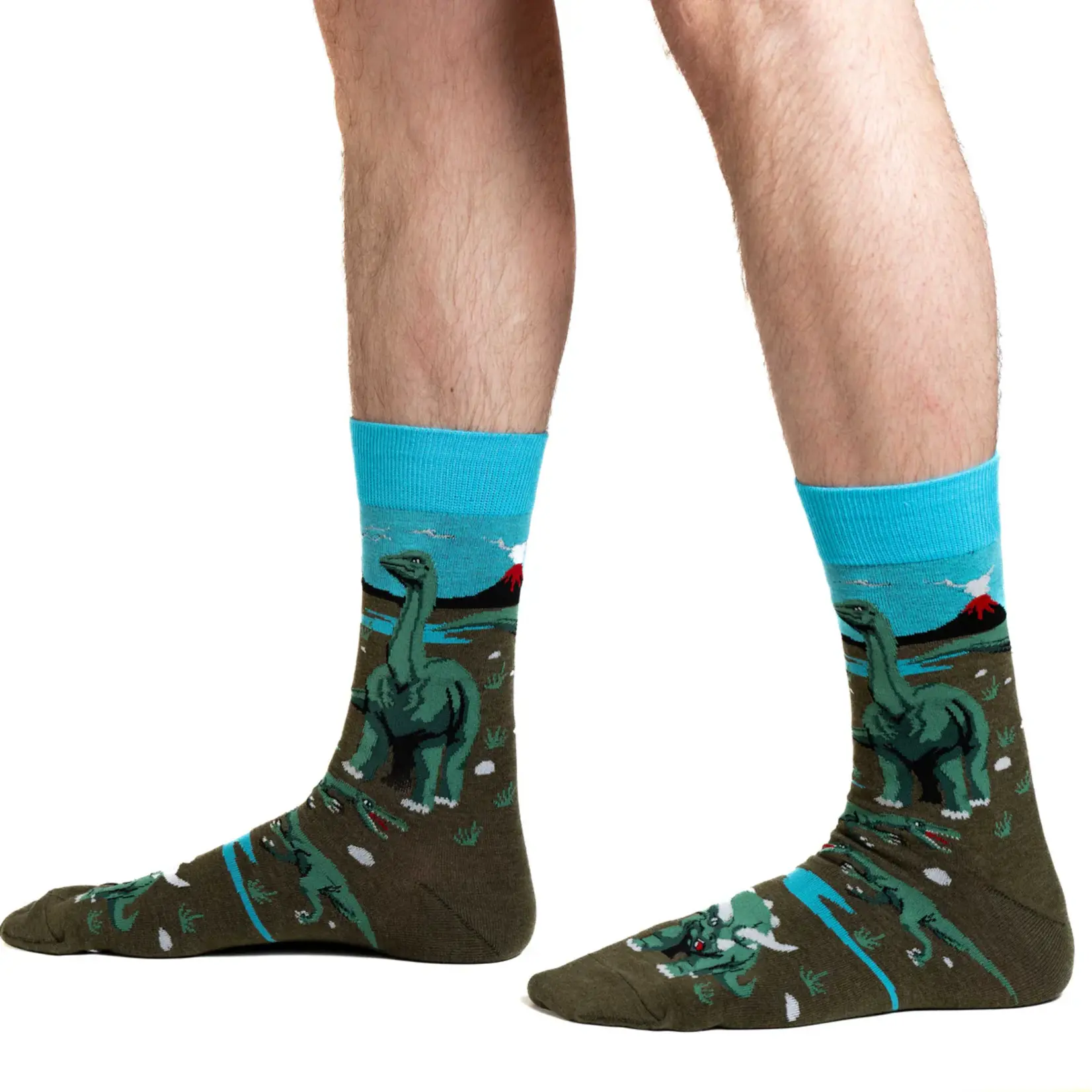 Good Luck Sock Men's Dinosaur World Socks