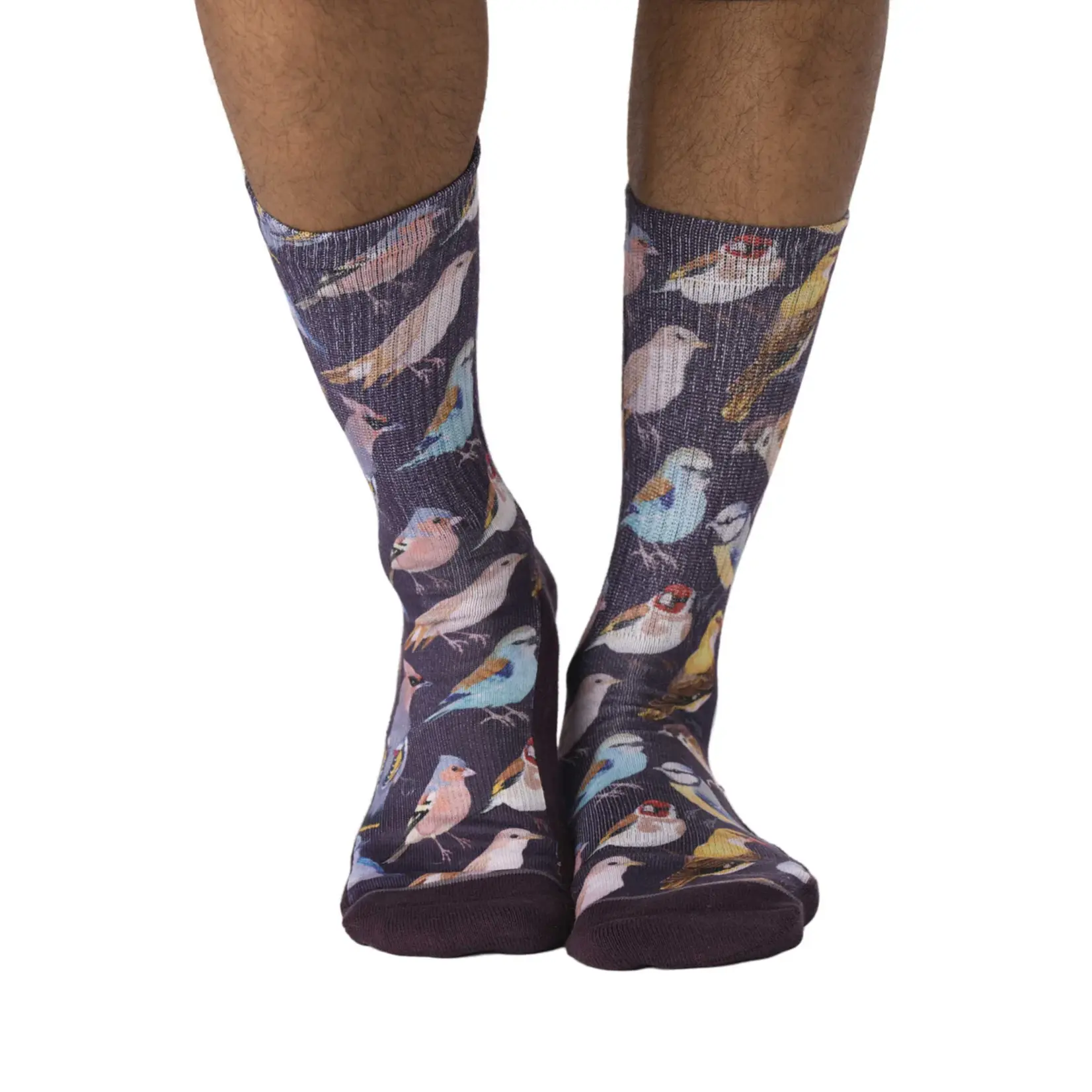 Good Luck Sock Men's Botanical Birds Socks