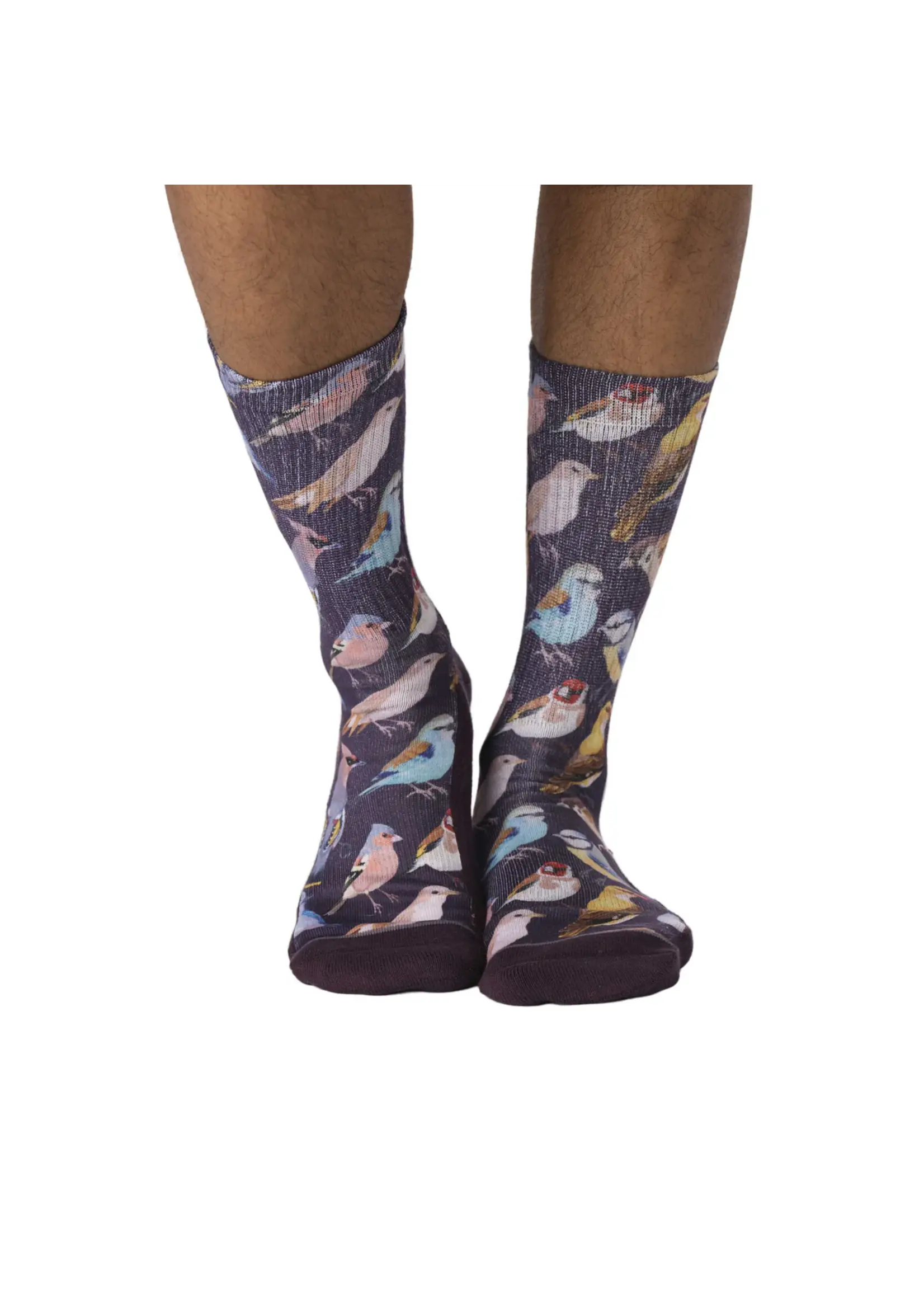 Men's Botanical Birds Socks