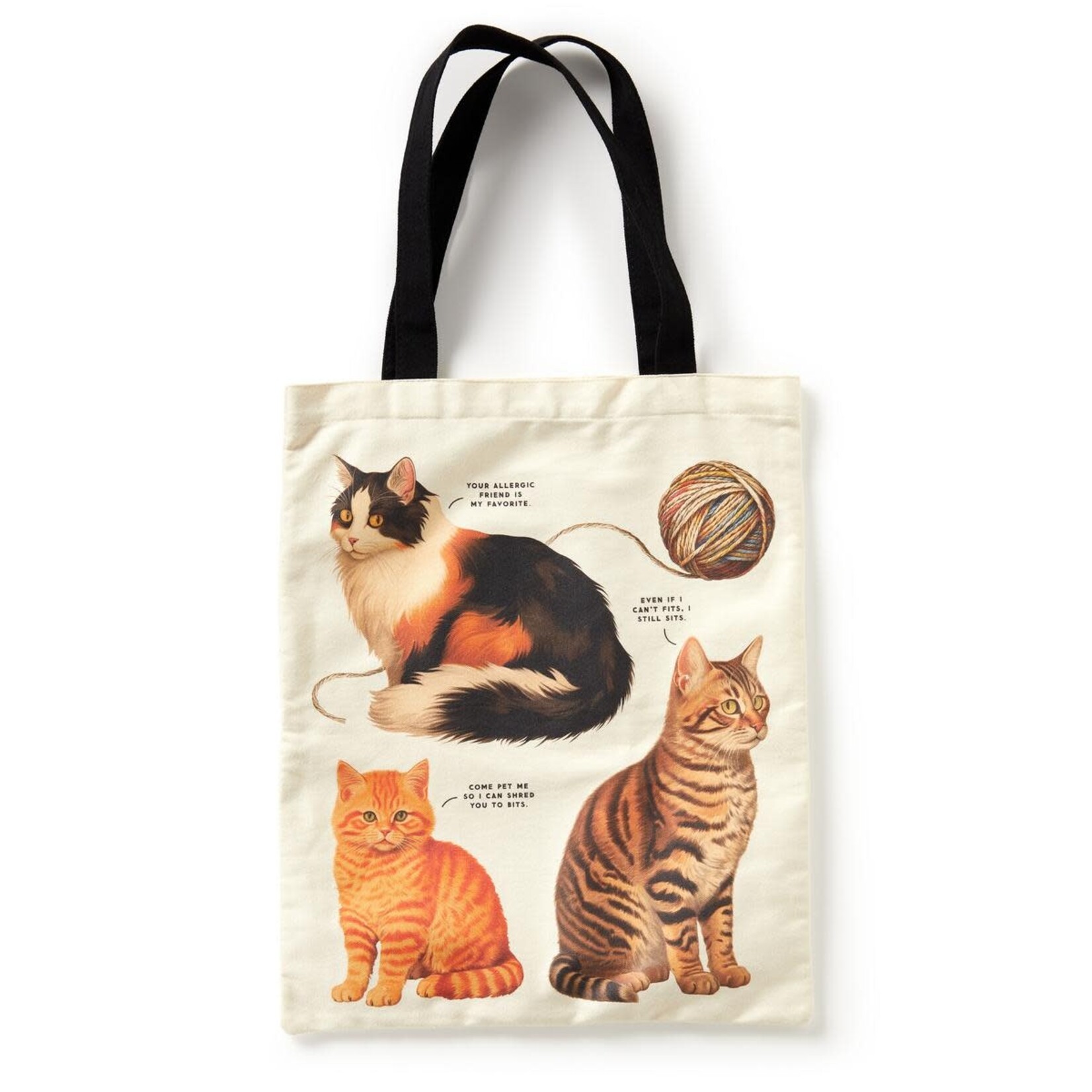 Raincoast Books Moody Cat Canvas Tote