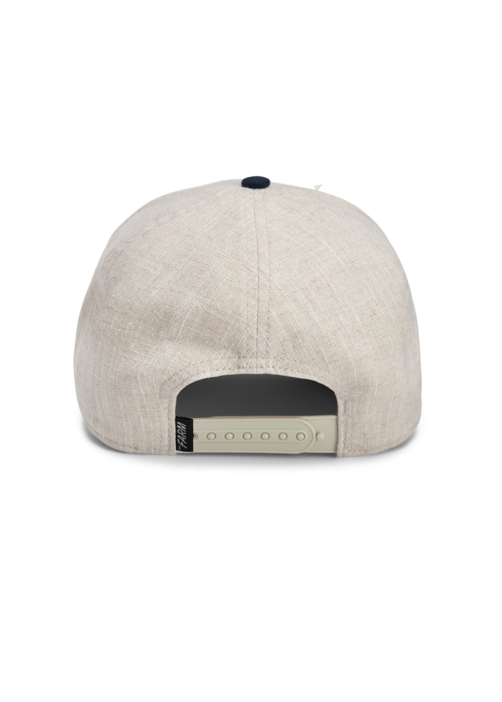 Goorin Rogue Trucker Hat