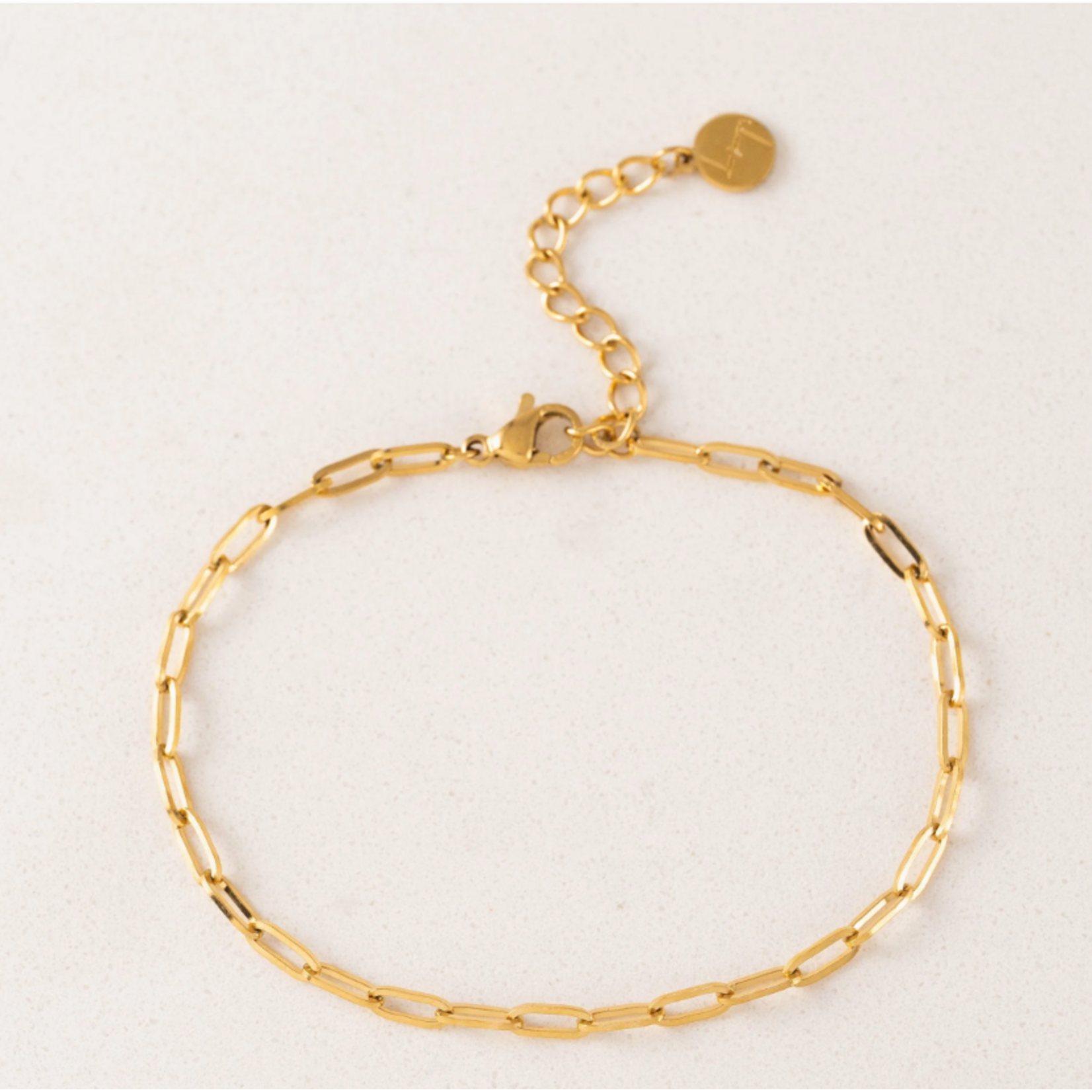 Lover's Tempo Paperclip Chain Bracelet - 18K Gold/Stainless PVD, Waterproof, Tarnishproof